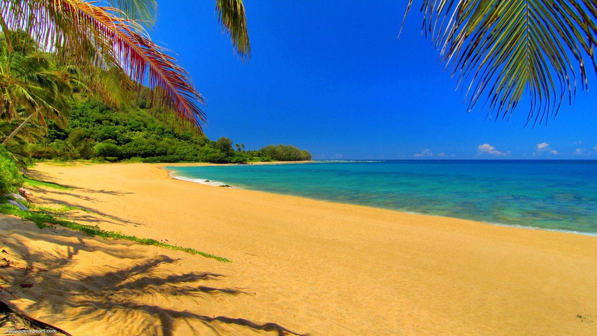 1920x1080 Summer desktop background