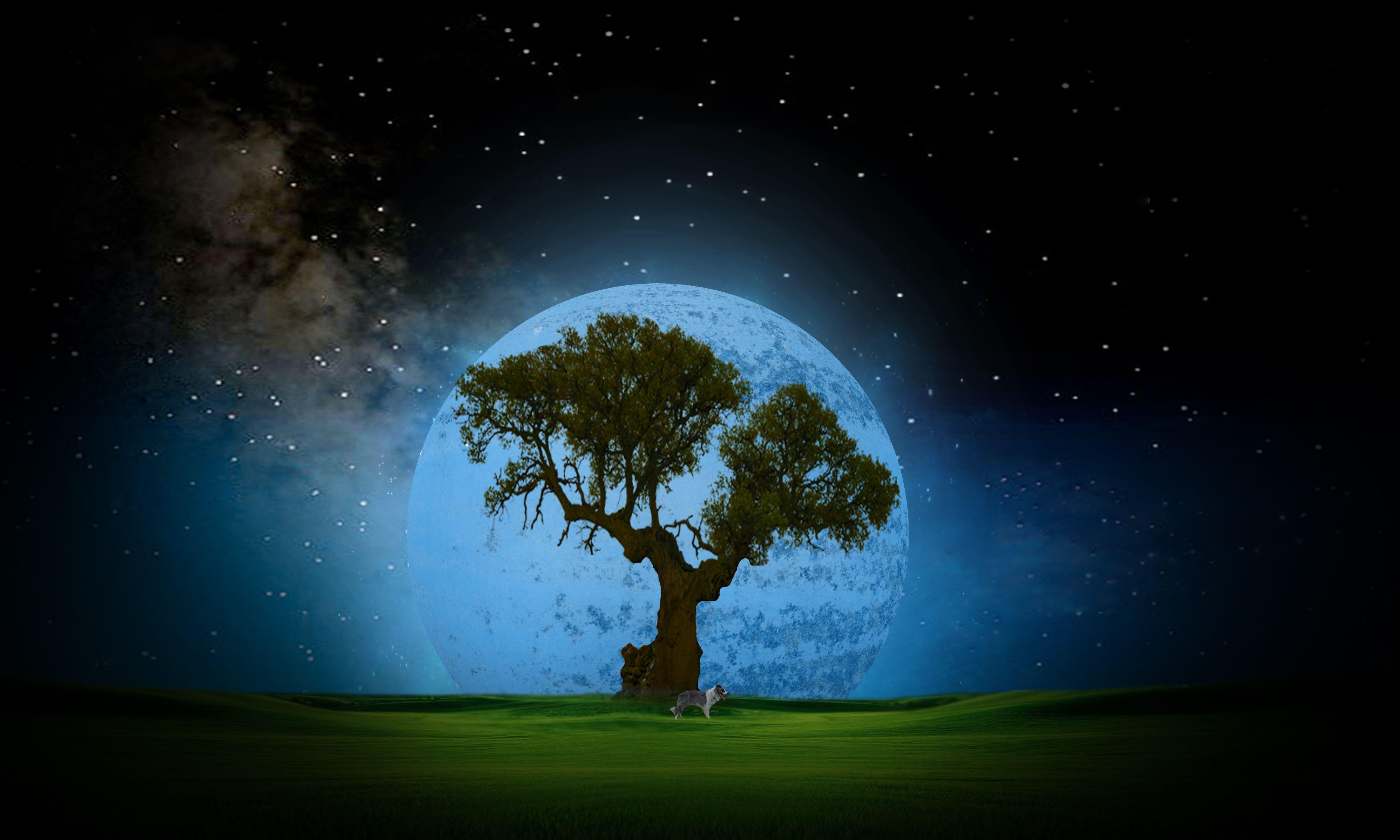 5000 X 3000 HD Wallpapers Top Free 5000 X 3000 HD Backgrounds 