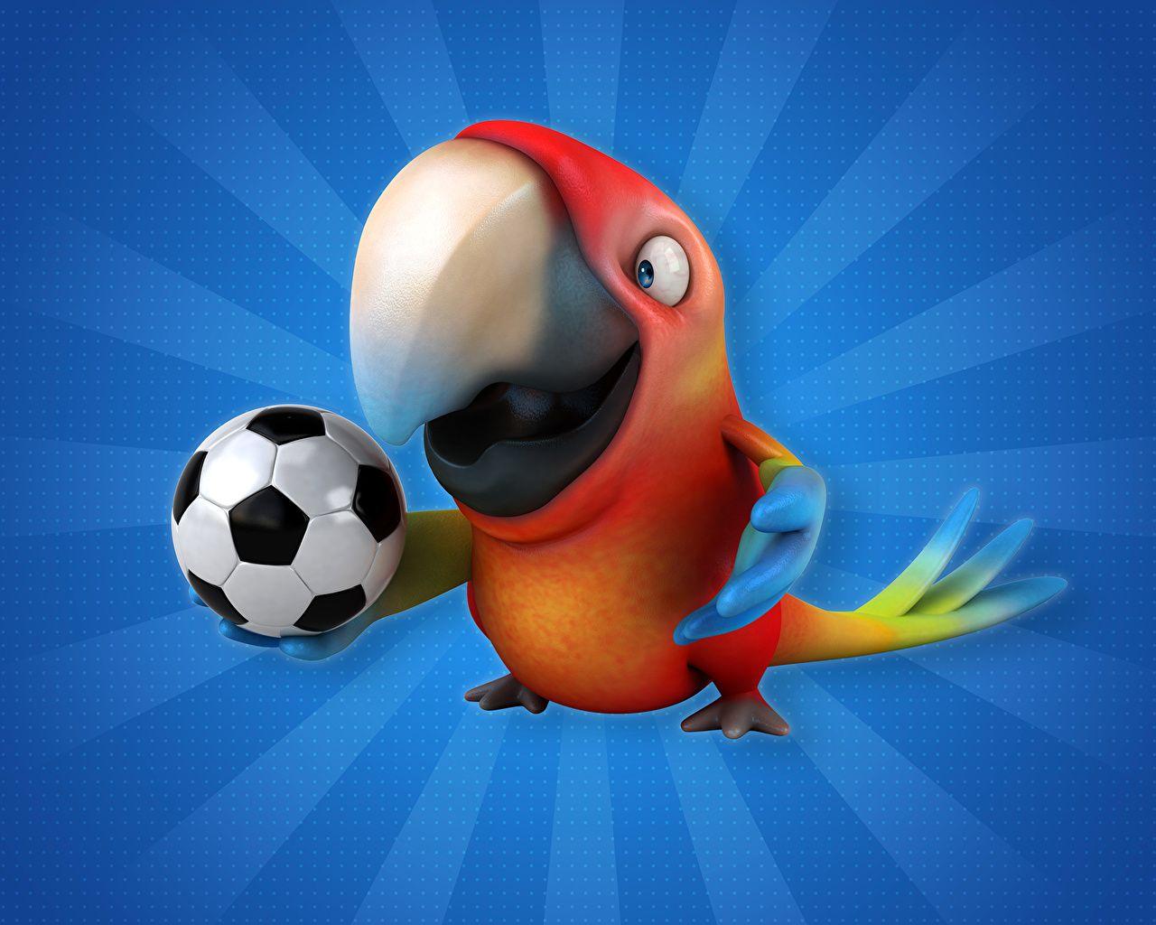 1280x1024 Photos Birds Parrots Beak Footbal 3D Graphics Ball