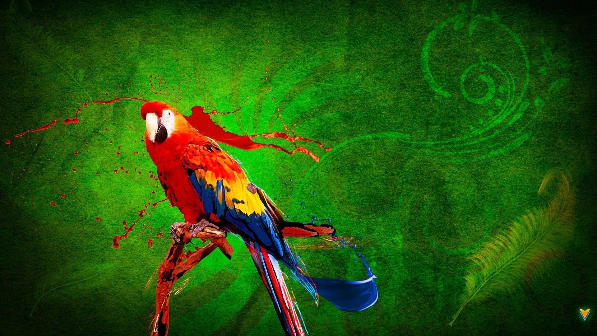 3d Parrot Wallpapers Top Free 3d Parrot Backgrounds Wallpaperaccess