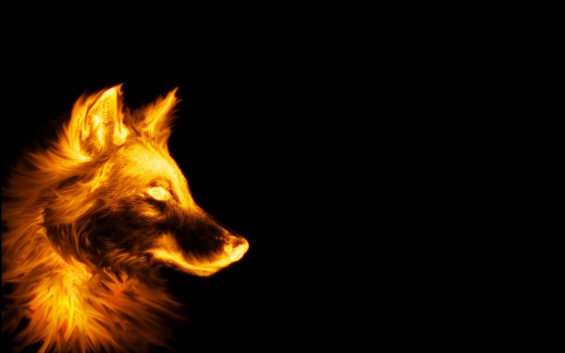 1920x1200 Dog Full HD Wallpaper and Background Imagex1200