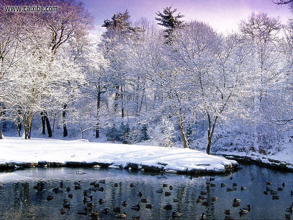 1024x768 Free download Nature Canada Ontario Toronto Winterscene picture nr