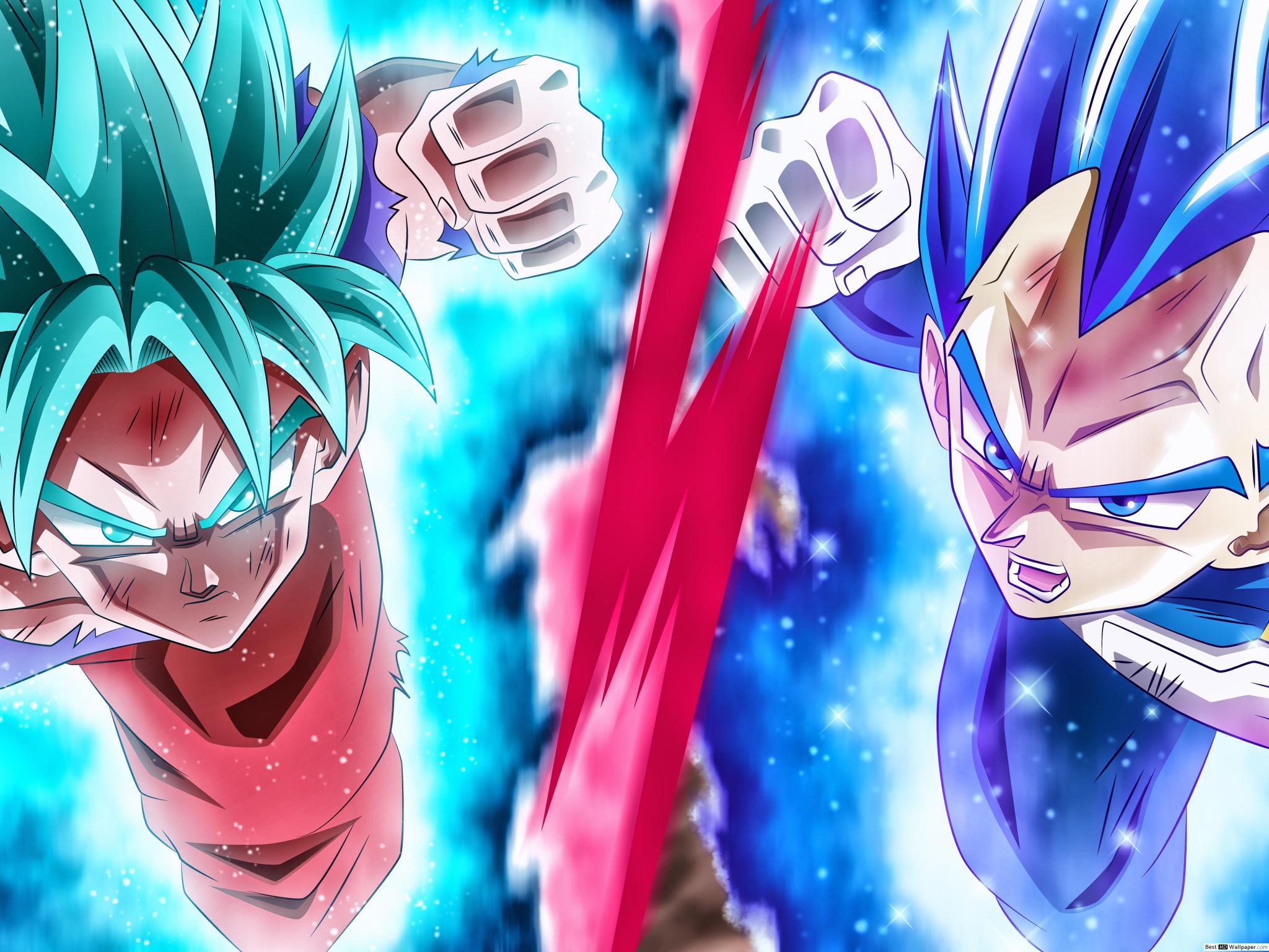2048x1536 Dragon Ball Super Goku Vegeta HD wallpaper download