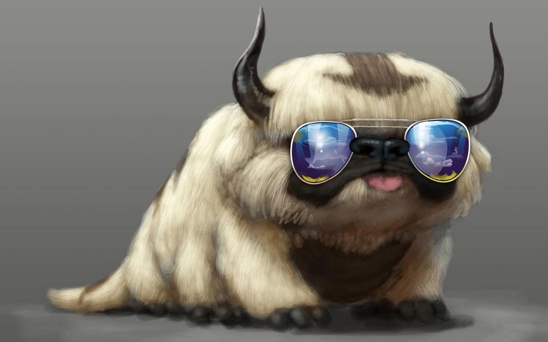 1920x1200 Cool Cat Or Dog ? wallpaper. nature and landscape