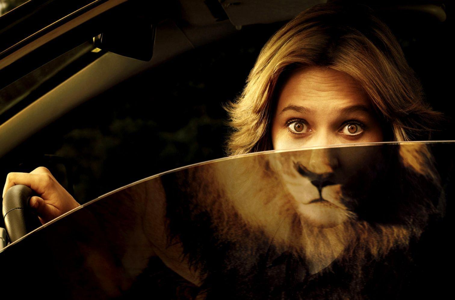 1512x997 Funny Girl Lion HD Wallpaper Welcome To Starchop Funny Wallpaper HD