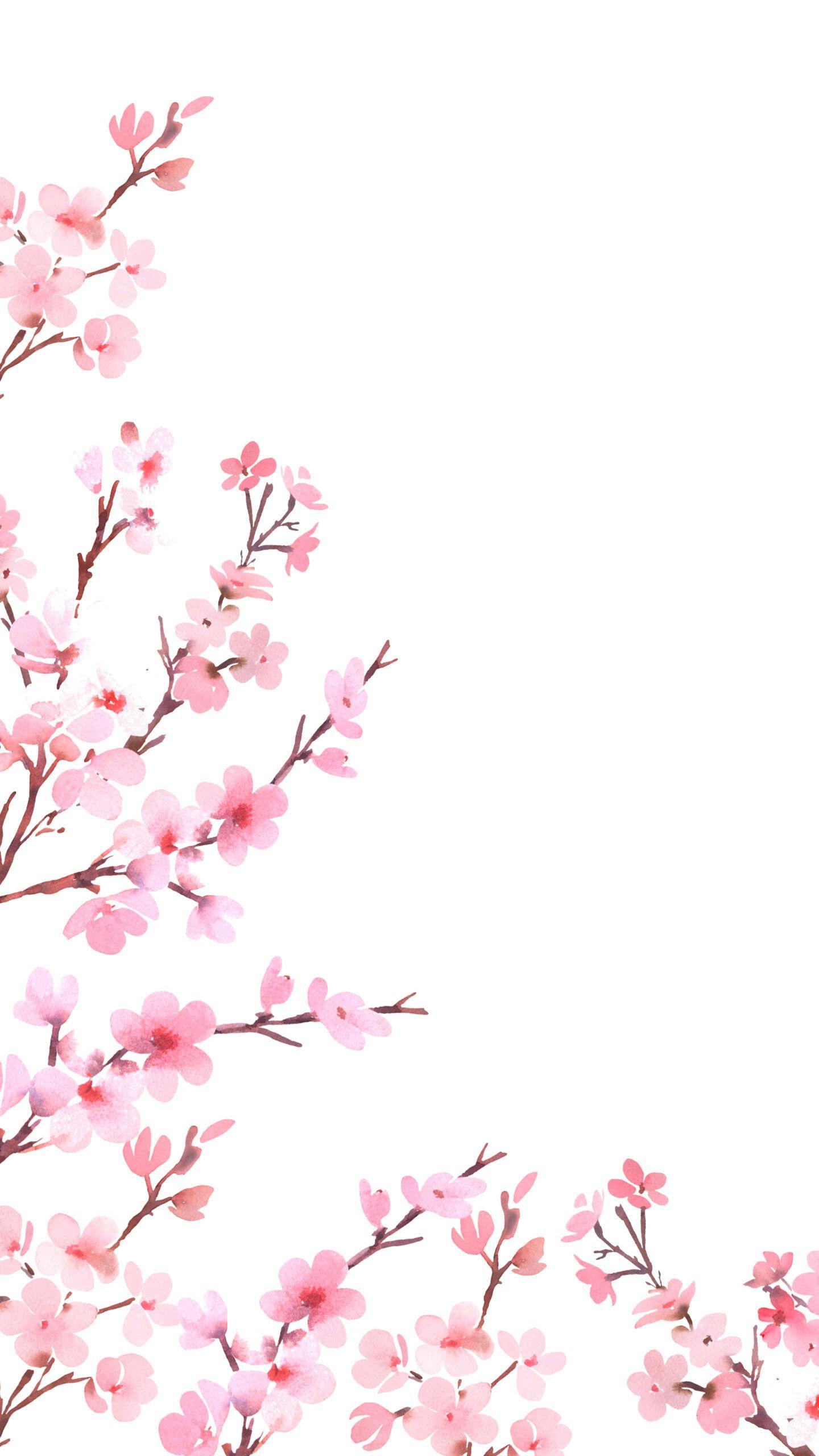 1440x2560 Spring Desktop & Phone Wallpaper