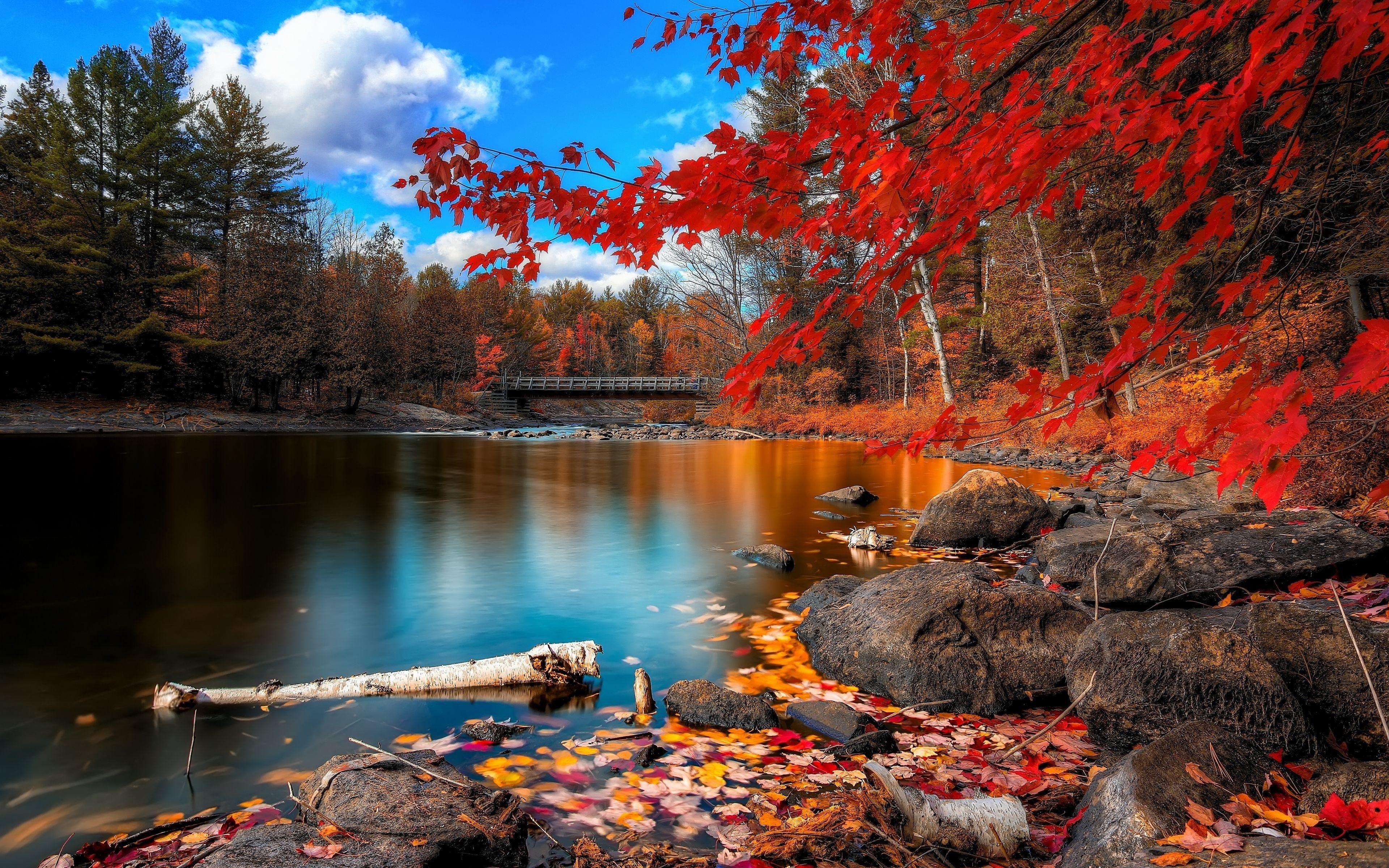 Hình nền 3840x2400 Hình nền đẹp HD mùa thu với màu đỏ và cam