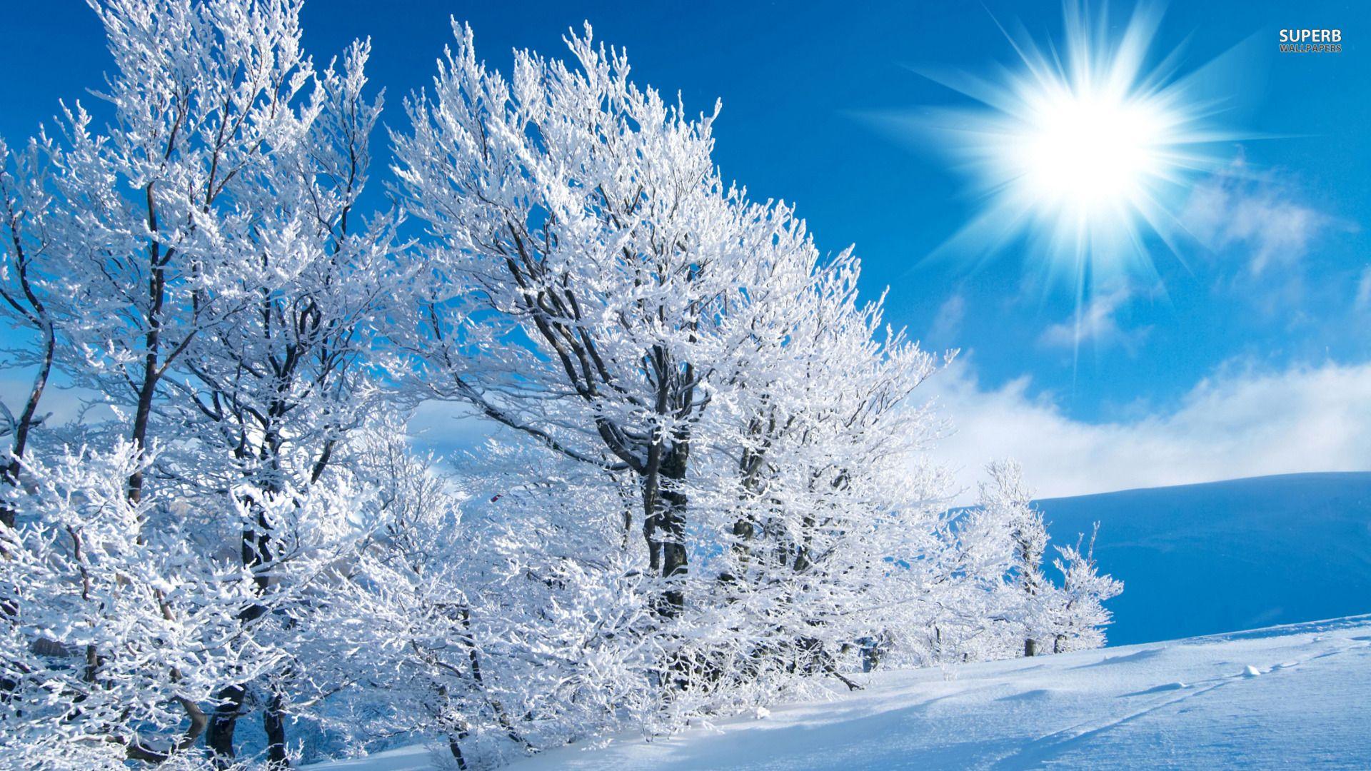 1920x1080 Free download Winter Wallpaper Best Wallpaper [1920x1080]