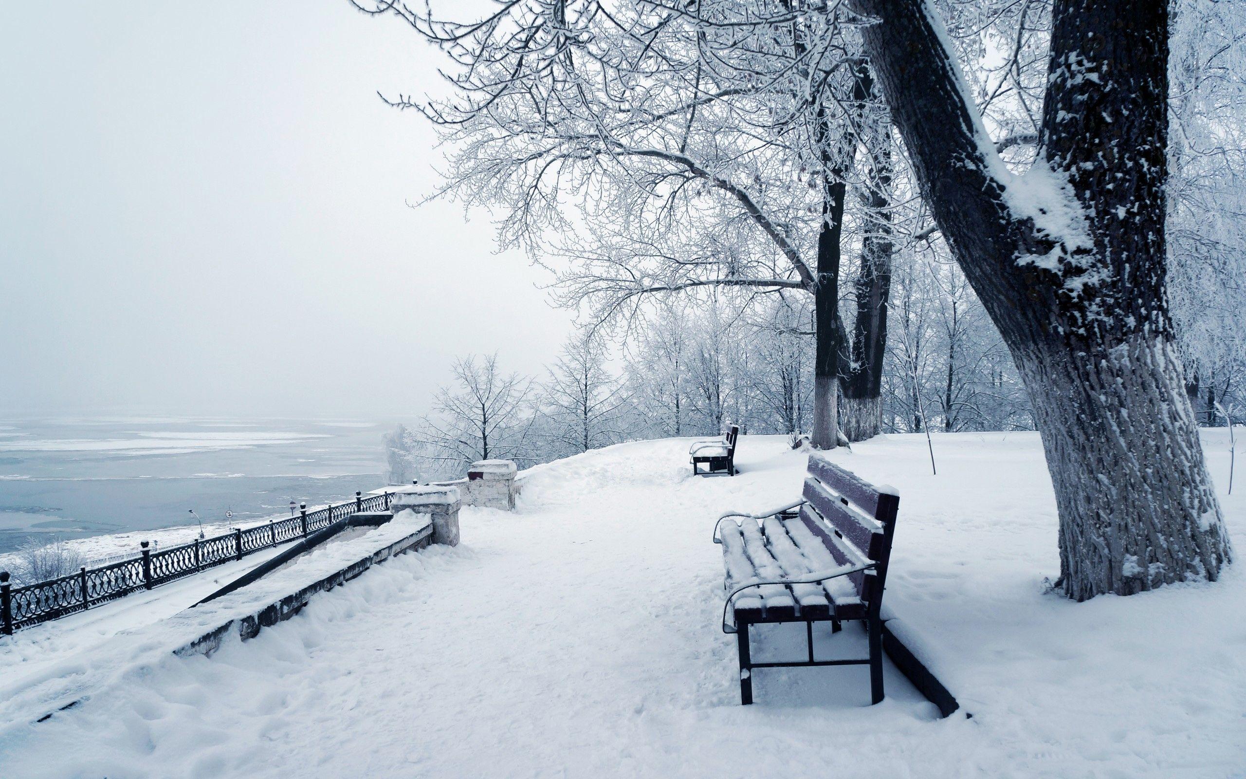2560x1600 Download Free Best Desktop Winter Wallpaper. Free HD Wallpaper