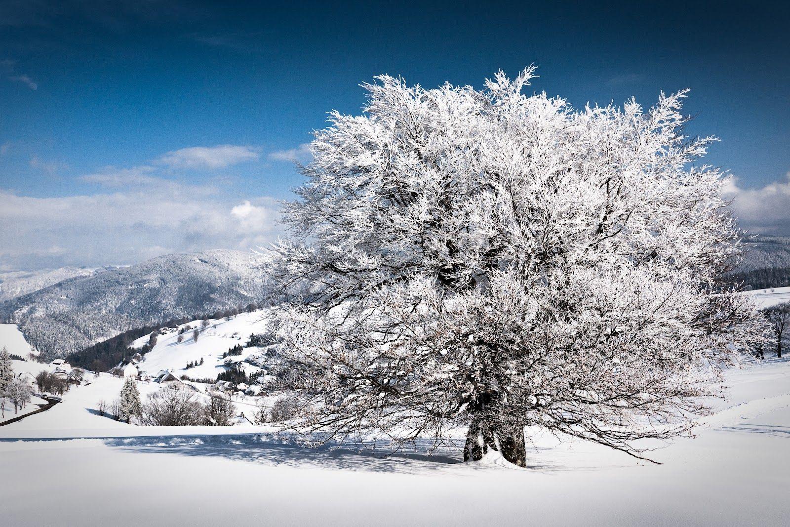 1600x1067 Best nature wallpaper: 10 beautiful winter wallpaper