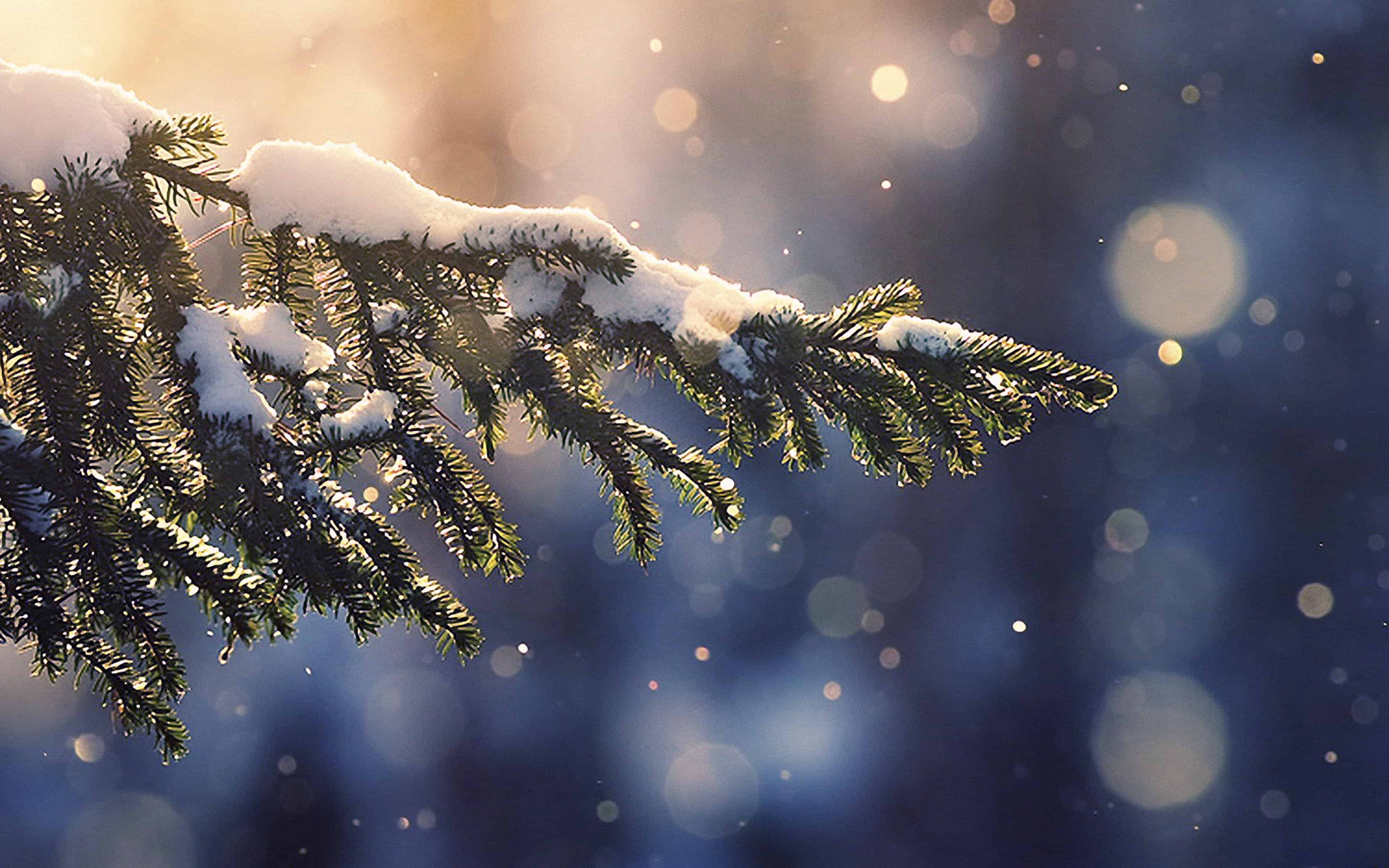 3840x2400 Download 4K Winter Wallpaper for iPhone, iPad & Mac