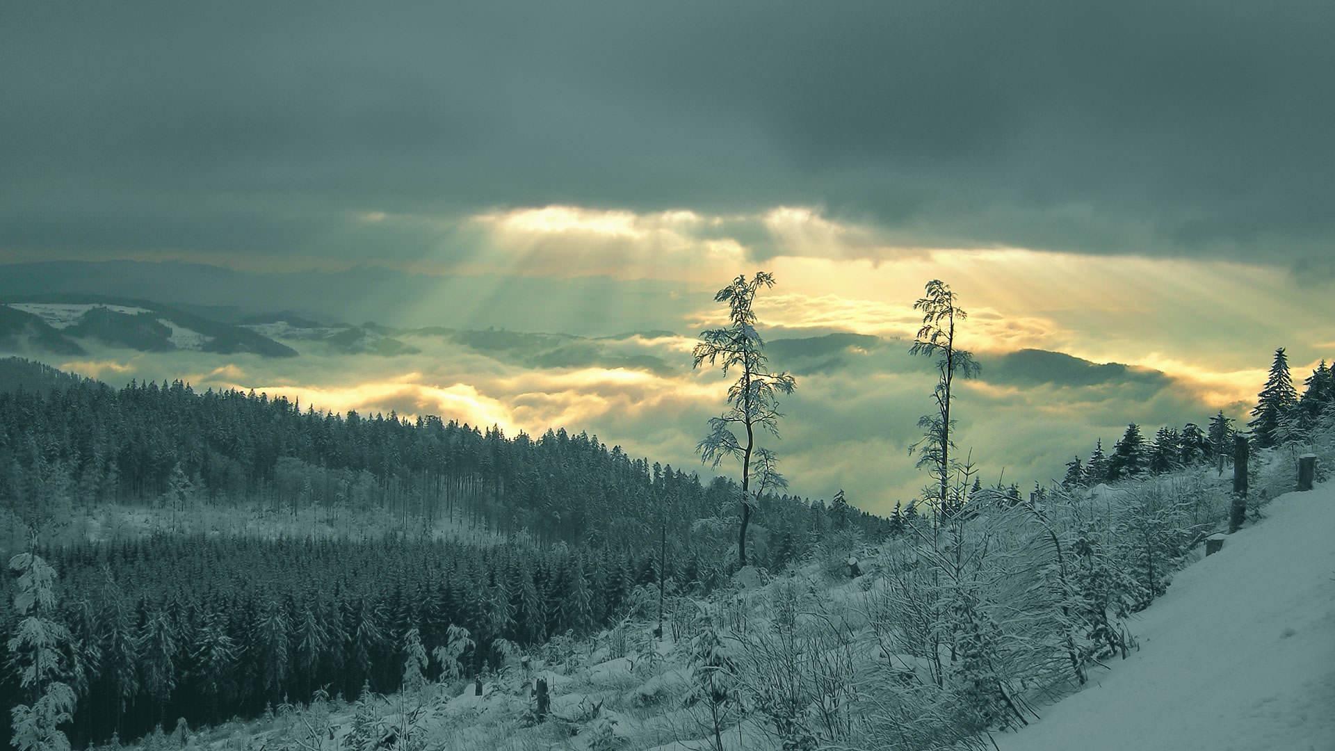 1920x1080 Best Winter Wallpaper 1920x1080