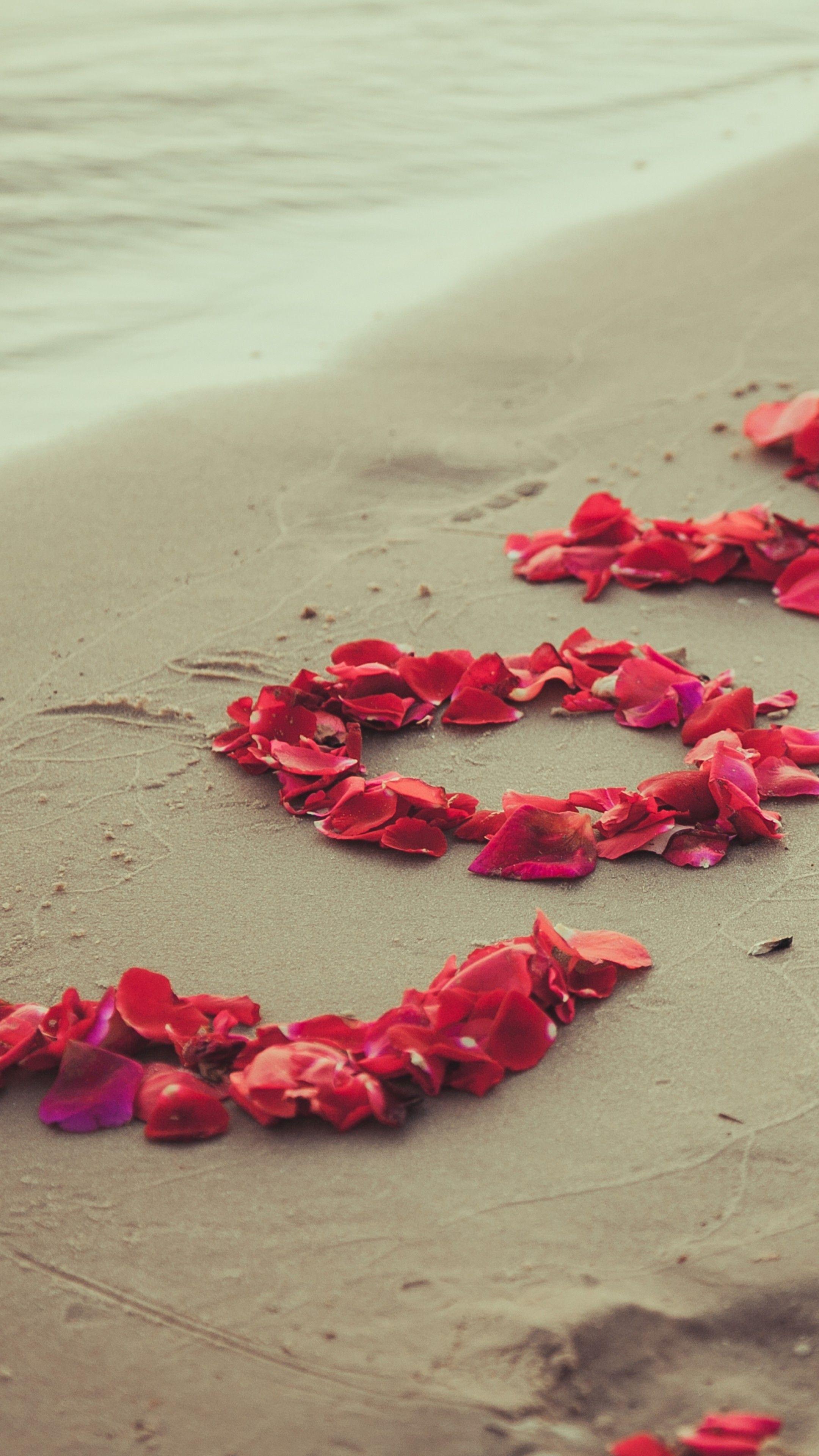2160x3840 Wallpaper Shore, 5k, 4k wallpaper, 8k, beach, petals, love, sand