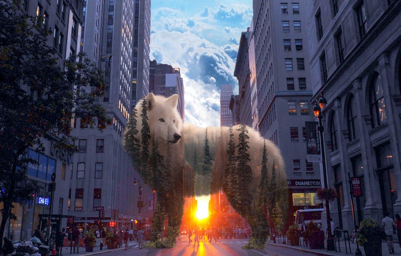 1332x850 Wallpaper forest, the city, wolf, spirit image for desktop, section животные