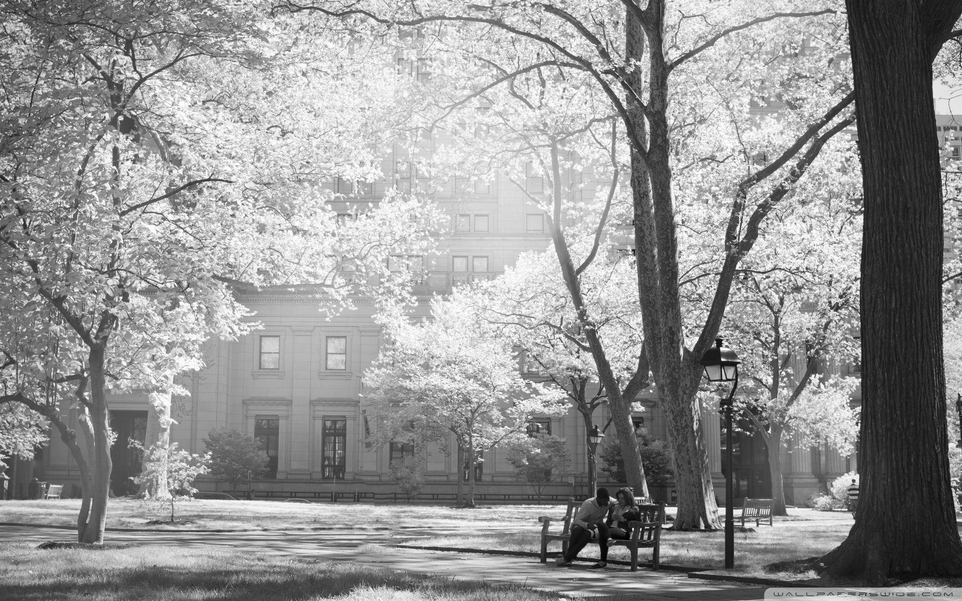 1920x1200 Philadelphia Streets Ultra HD Desktop Background Wallpaper for 4K