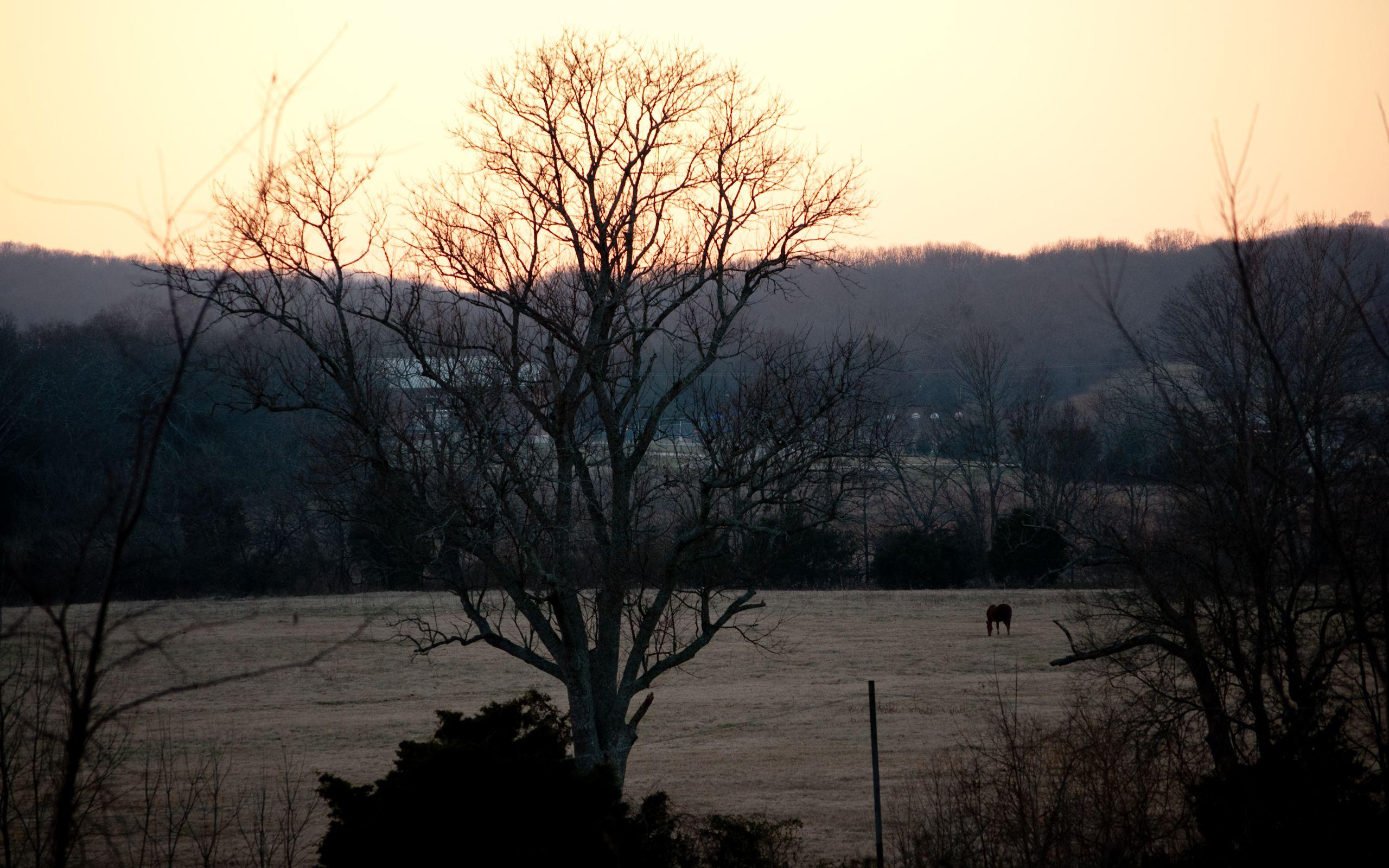 2560x1600 Rural Nashville wallpaper. Rural Nashville