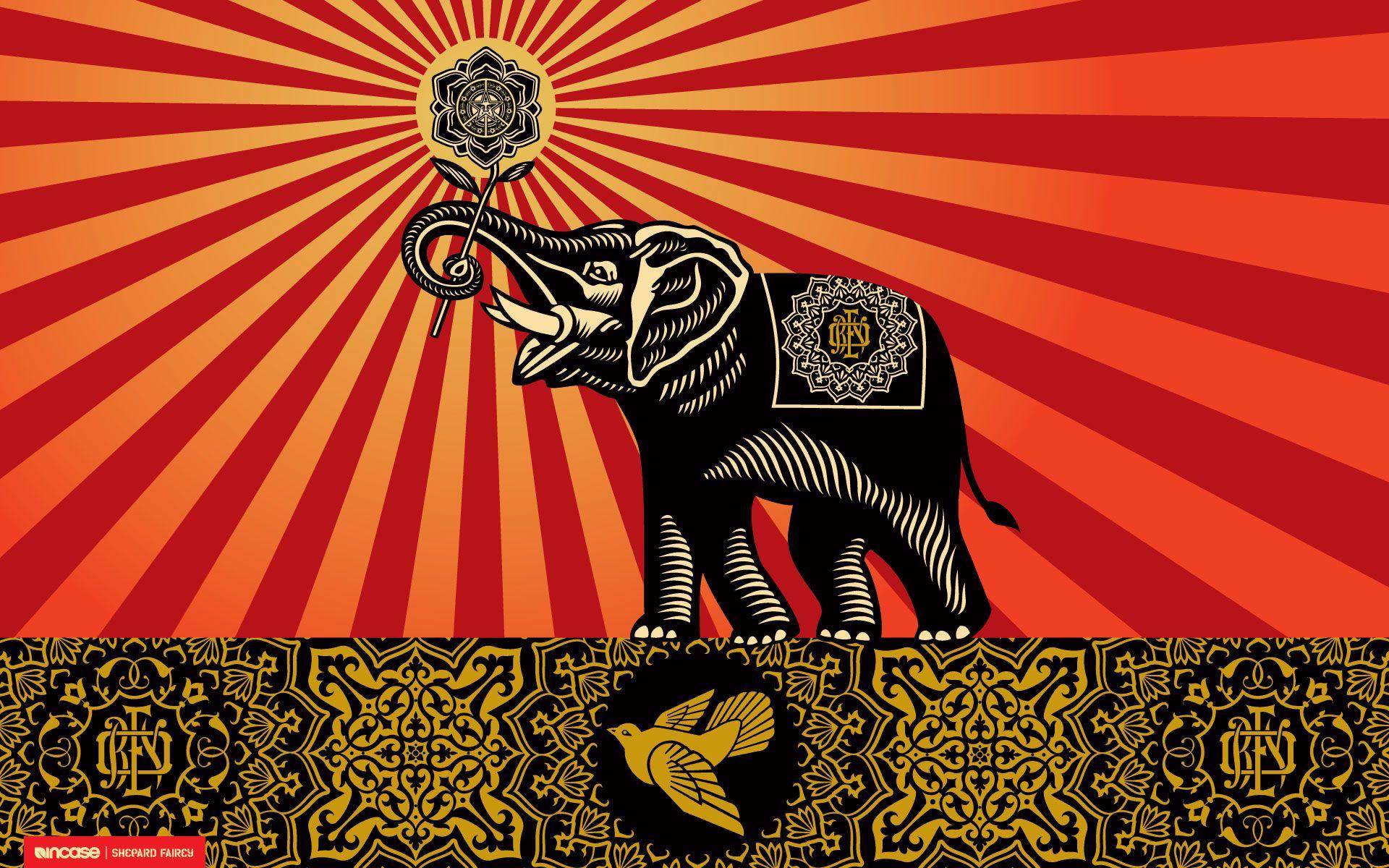 1920x1200 Free download Elephant Computer Wallpaper Desktop Background