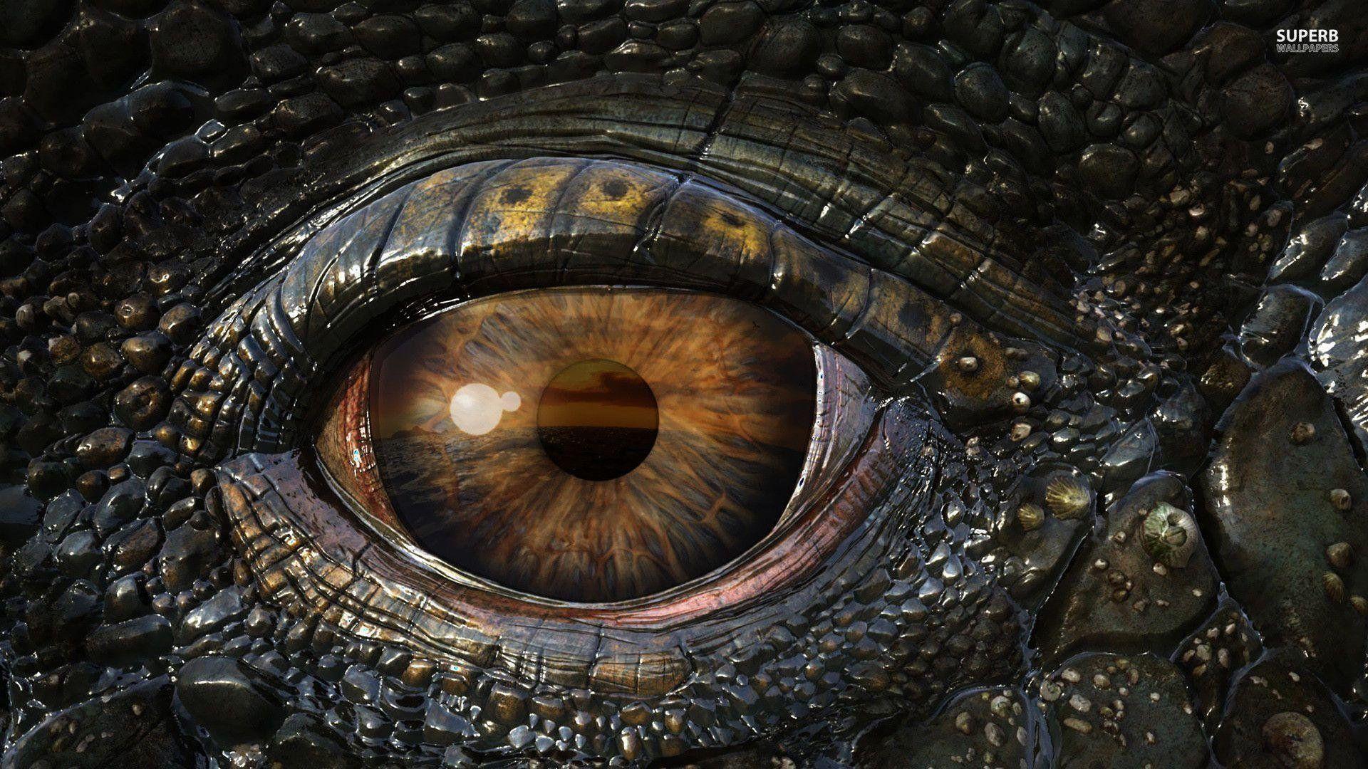 1920x1080 1080p Dragon Eye Wallpaper