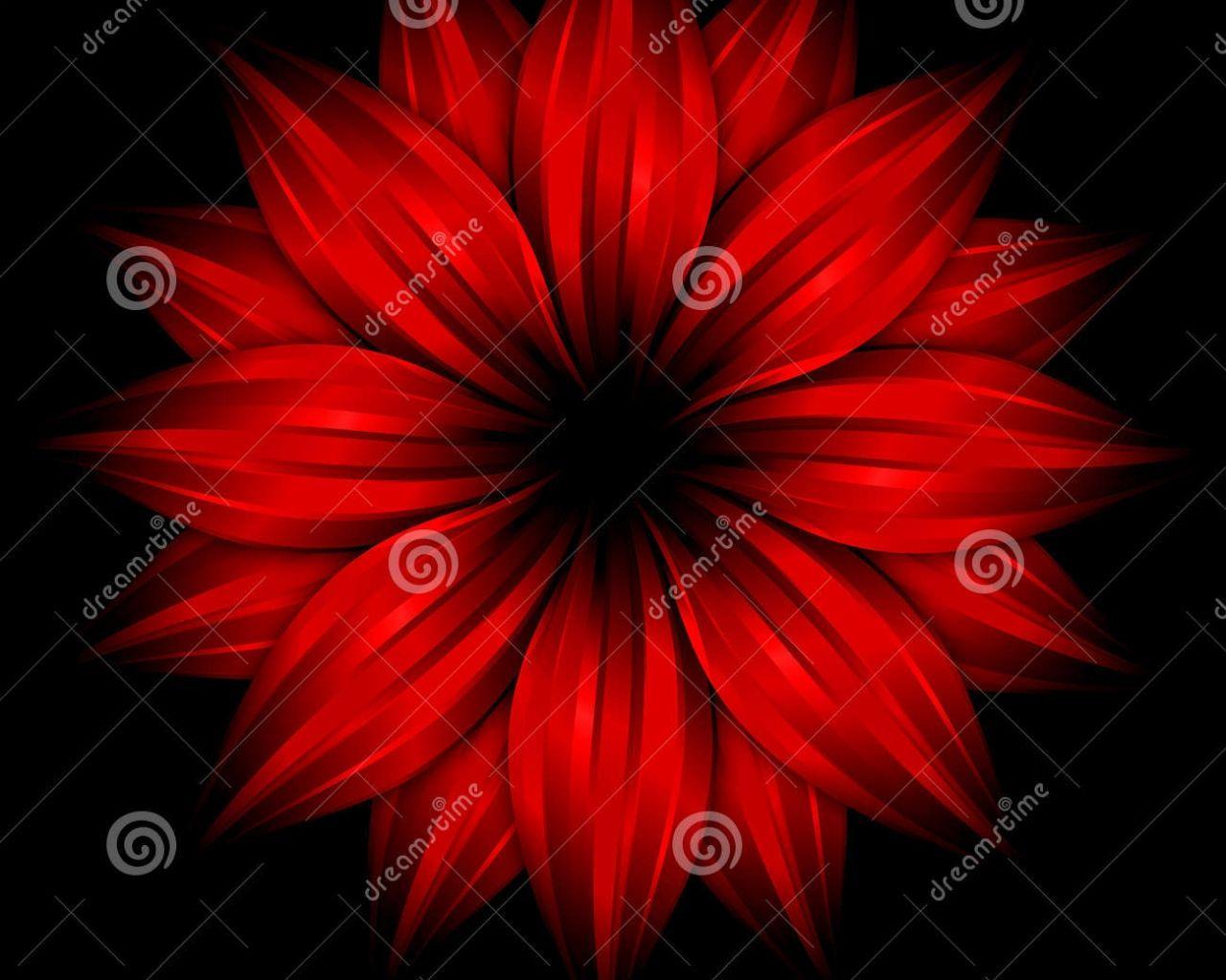 Black and Red Flower Wallpapers Top Free Black and Red Flower Backgrounds WallpaperAccess