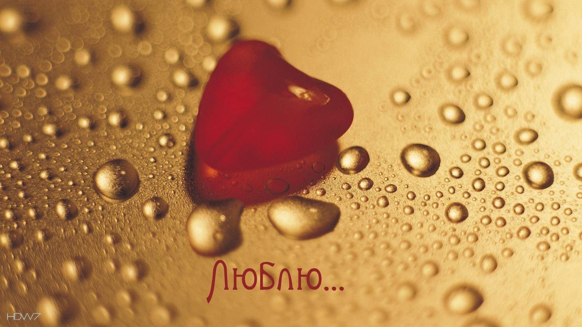 1920x1080 i love you russian word language red heart water drops. HD