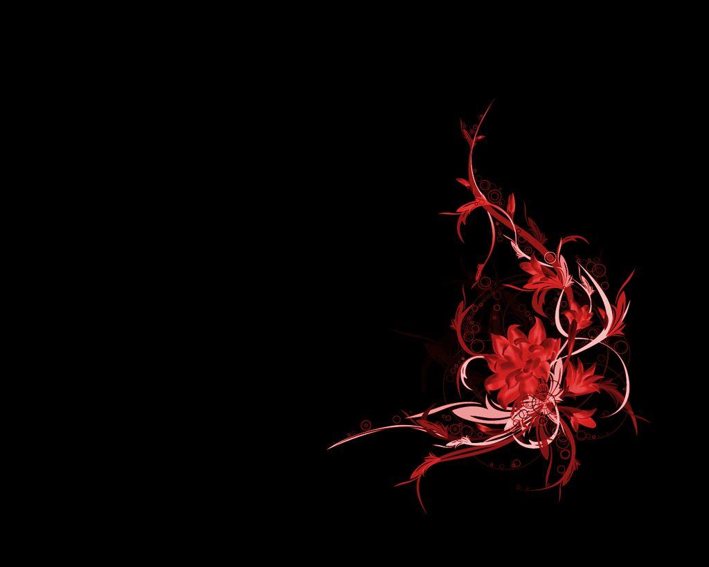 1024x819 Elegant Flower Image with Black Background. Top Collection of different types of flowers in the image HD