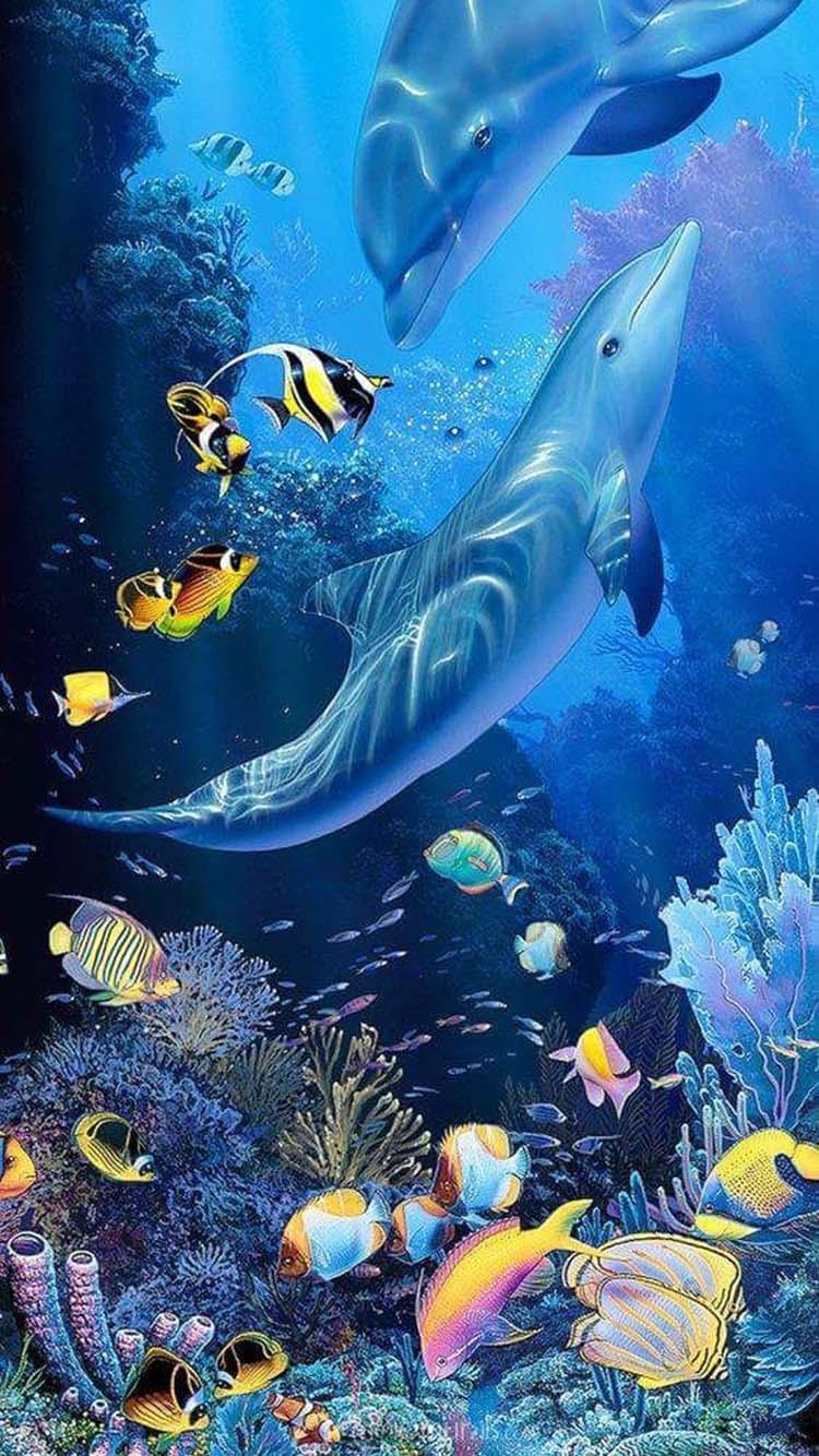 750x1334 Dolphin HD Wallpaper 4K for Android
