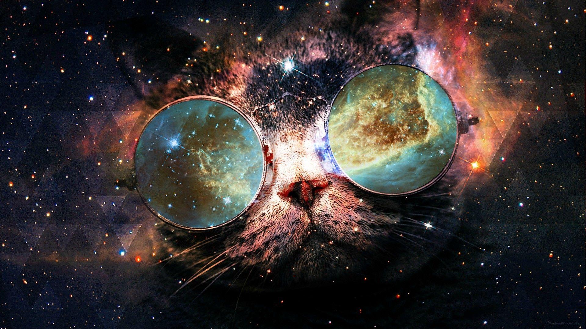 Cats In Space Background