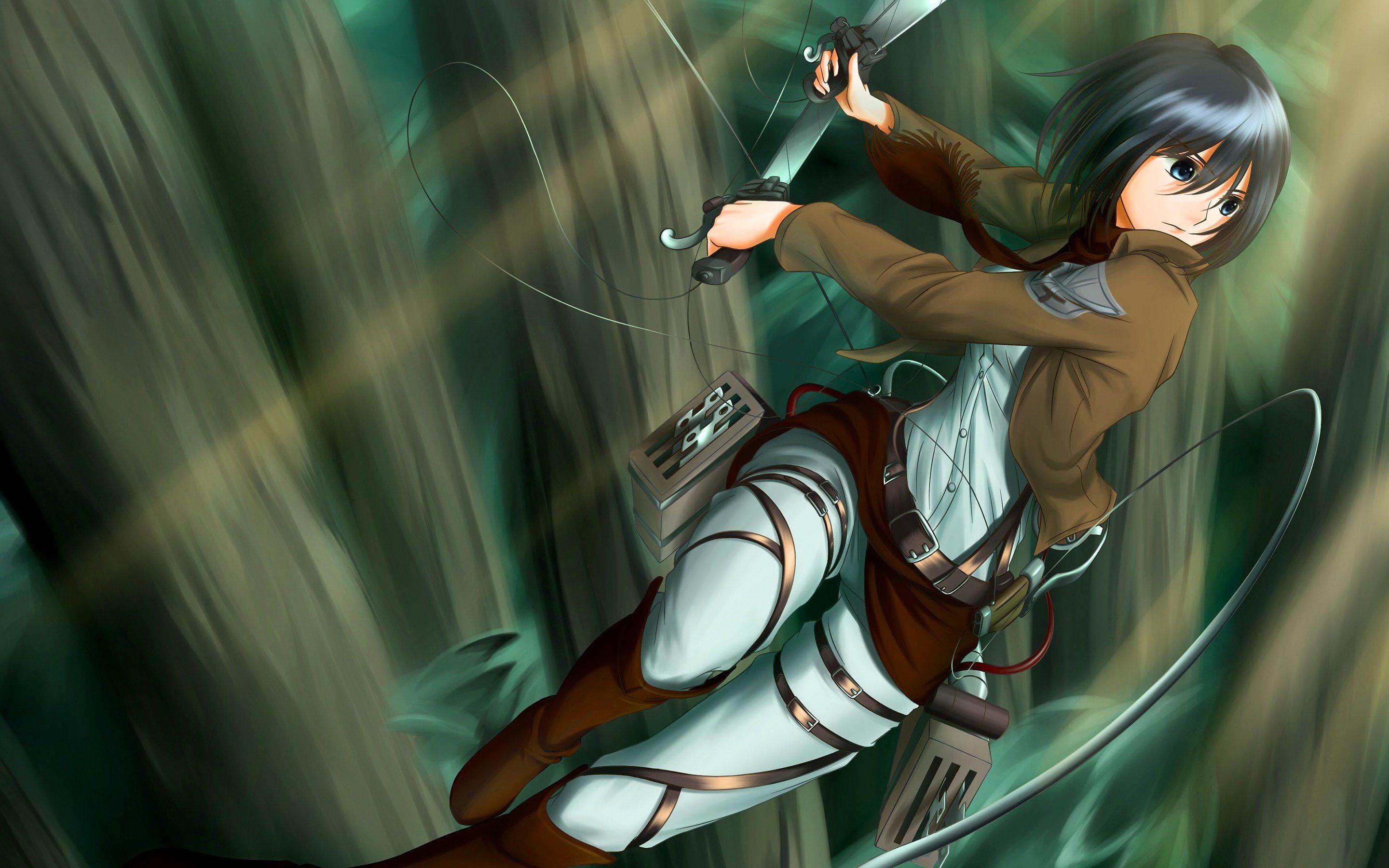 3. "Mikasa Ackerman" from the anime "Attack on Titan" - wide 7