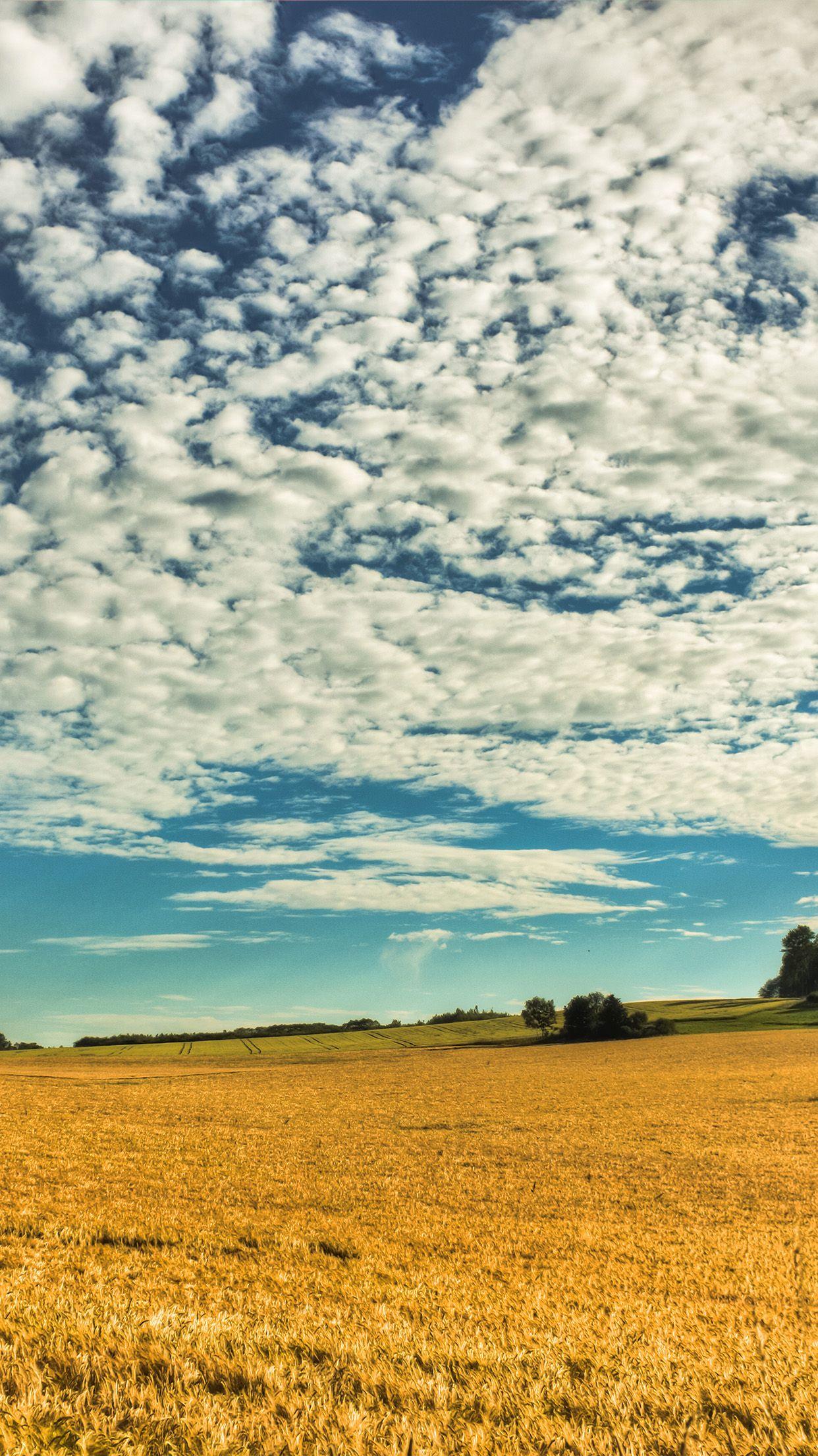 1242x2208 Fall Yellow Field Cloud Nature