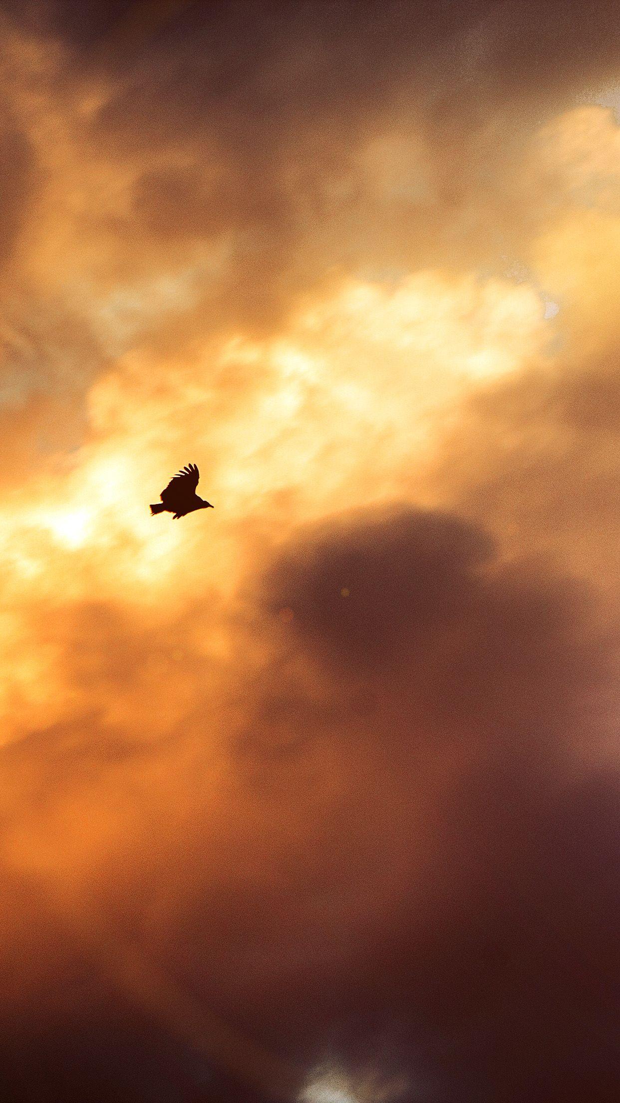 1242x2208 iPhone X wallpaper. bird fly sky clouds