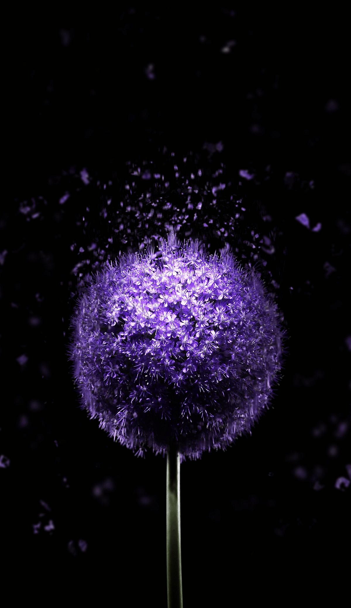1200x2074 Super Amoled 4k Wallpaper Amoled