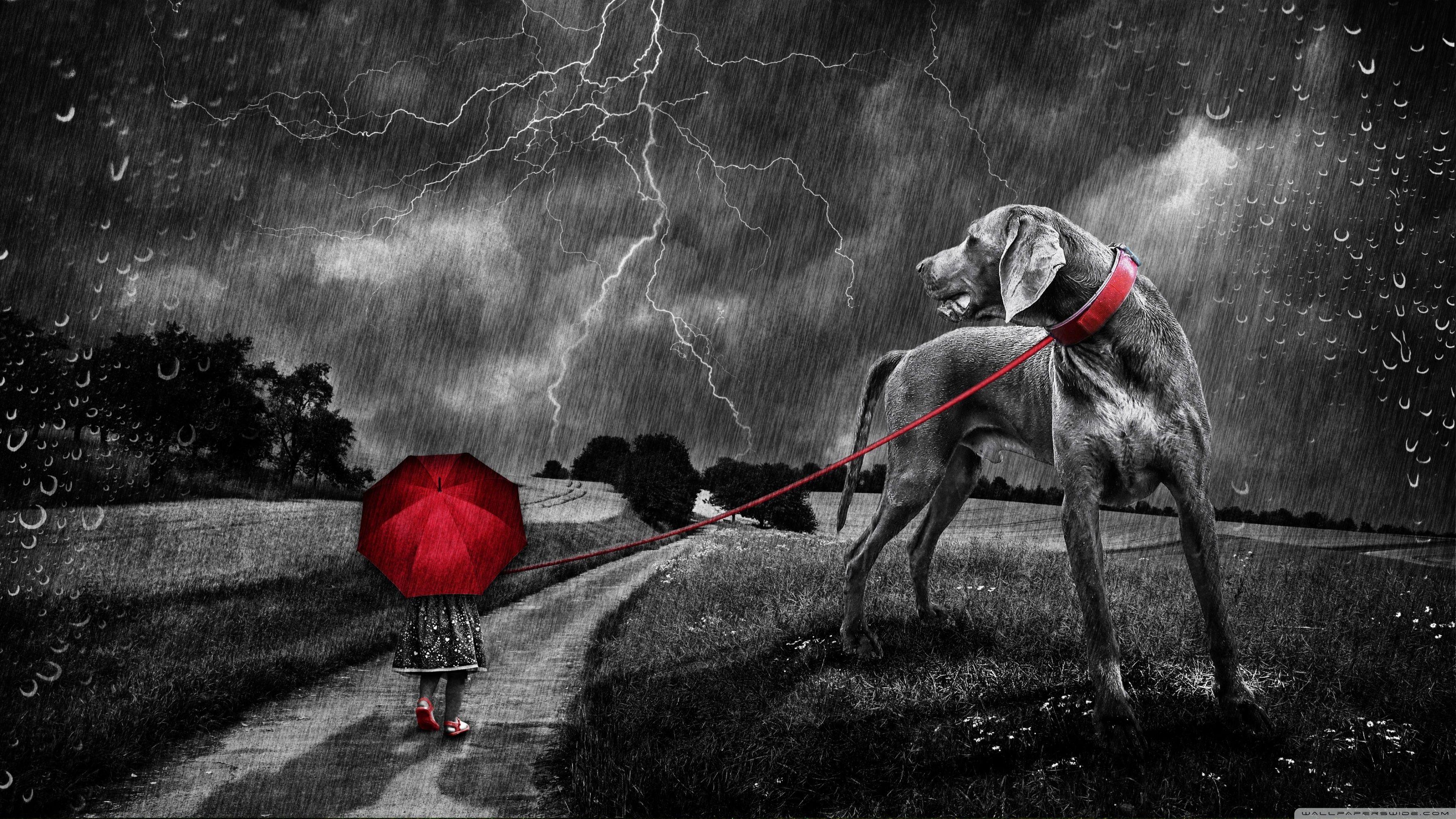 3554x1999 Storm Ultra HD Desktop Background Wallpaper for 4K UHD TV