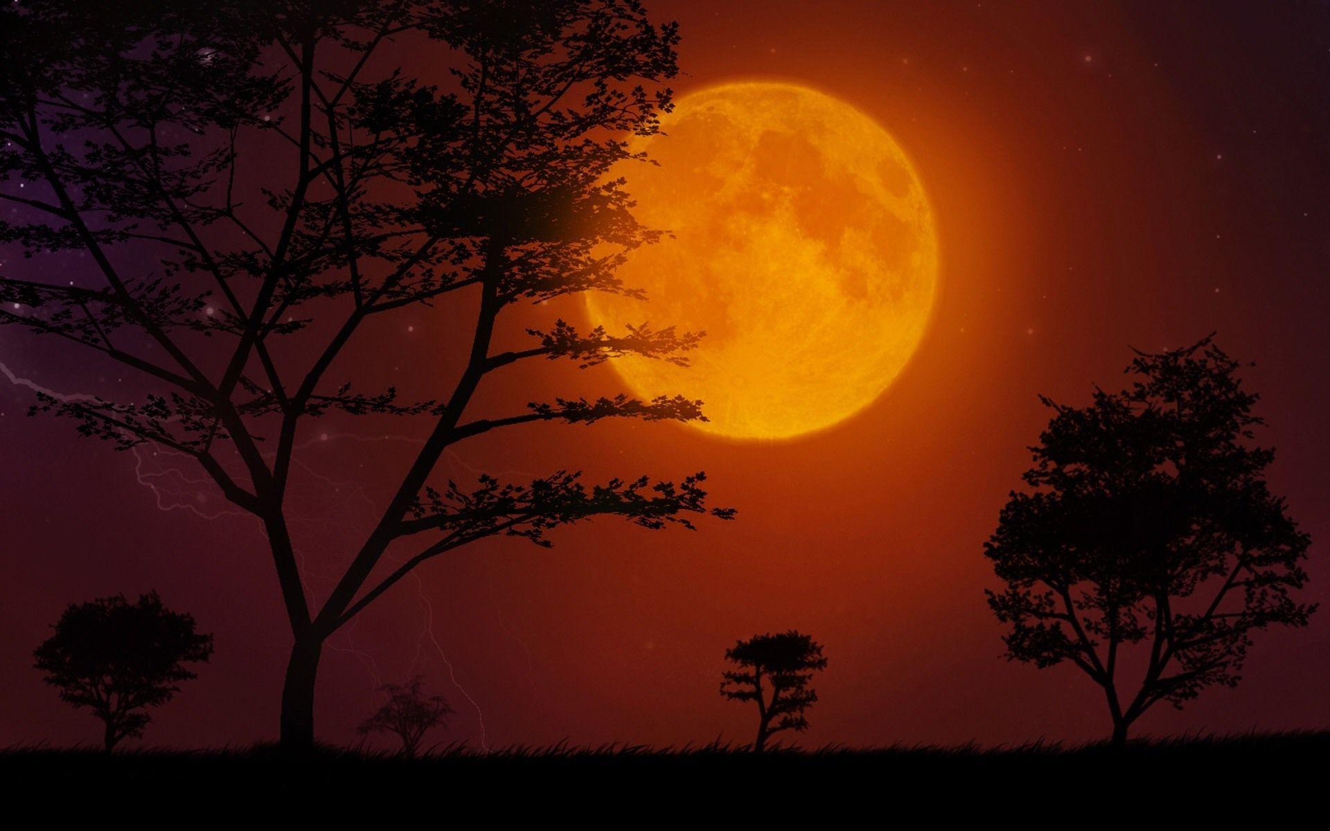 Orange Moon Wallpapers Top Free Orange Moon Backgrounds Wallpaperaccess