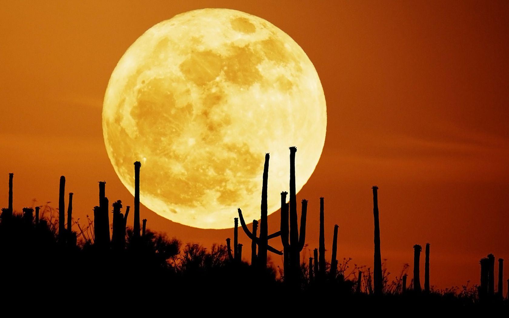 1680x1050 Download wallpaper: orange Sky and moon, download photo, moon