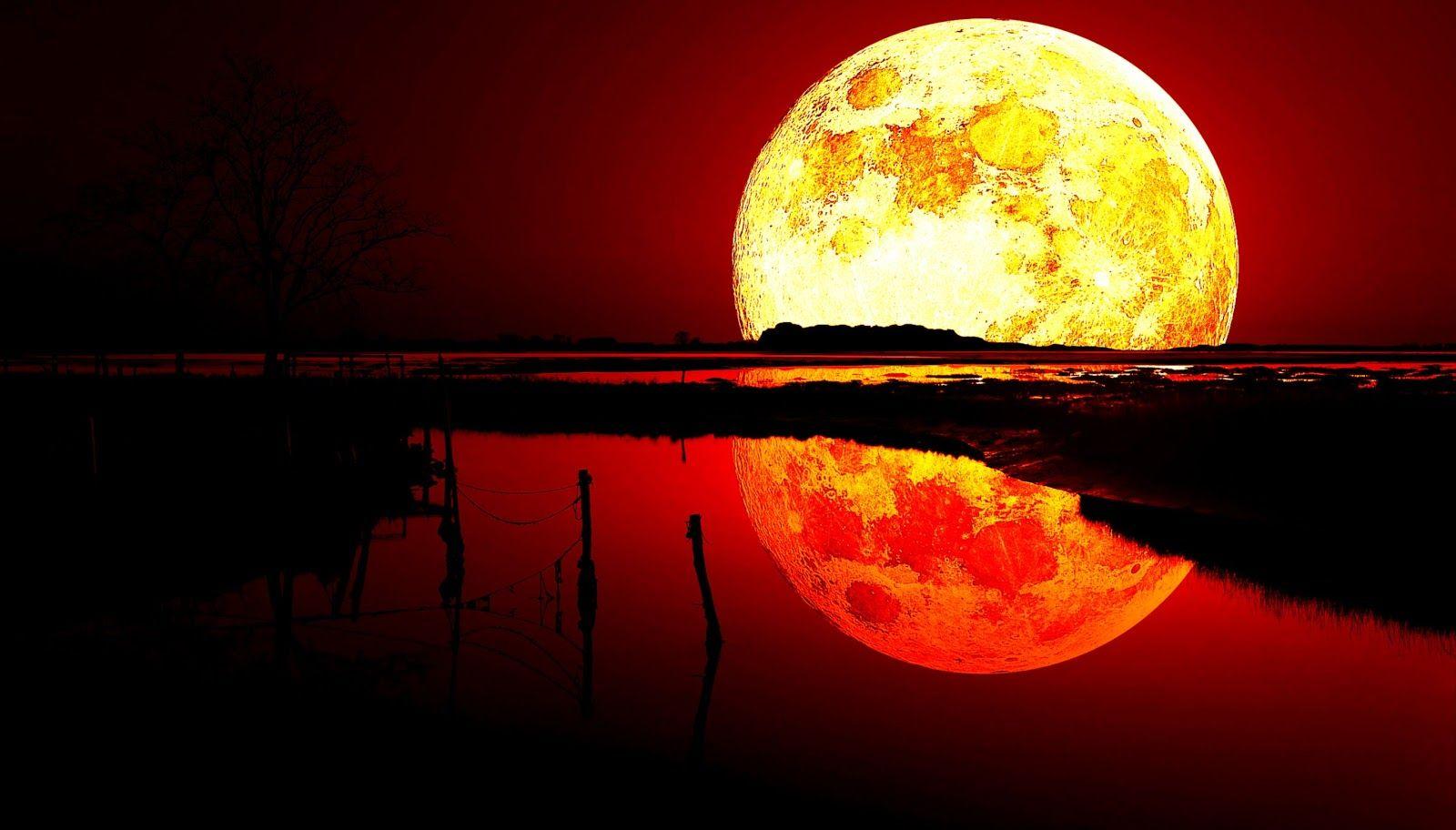 Orange Moon Wallpapers Top Free Orange Moon Backgrounds WallpaperAccess