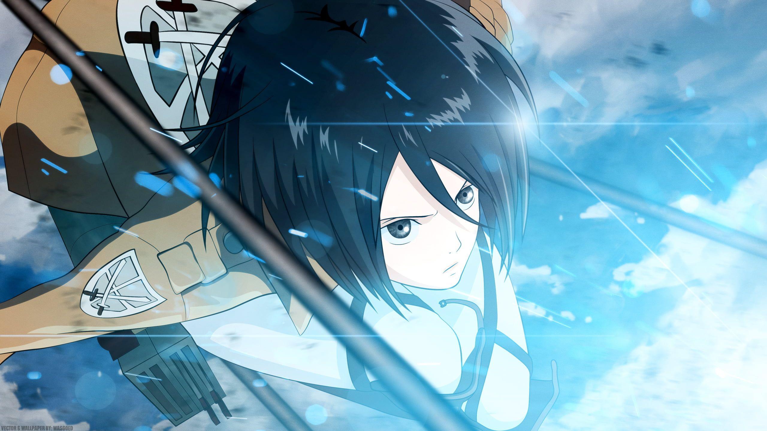 Hình nền HD 2560x1440 Mikasa on Attack on Titan https://wallpaperaccess.com/full/343780.jpg