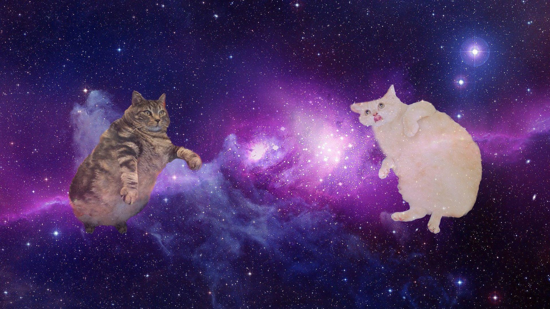 1920x1080 Galaxy Cat Wallpaper