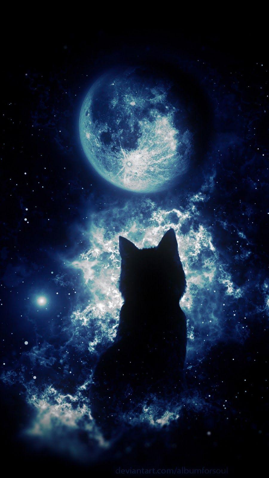 900x1600 Cat In Space Wallpaper