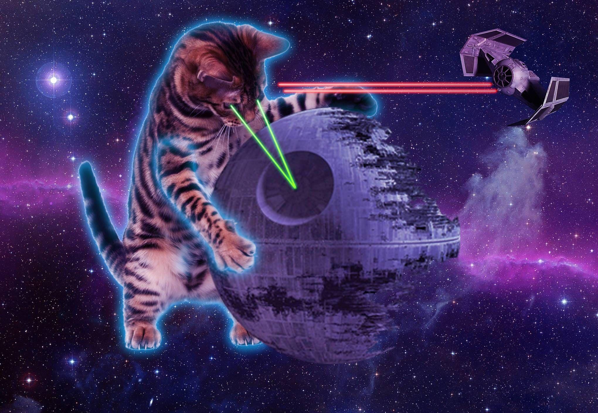 2040x1409 Laser cats in space