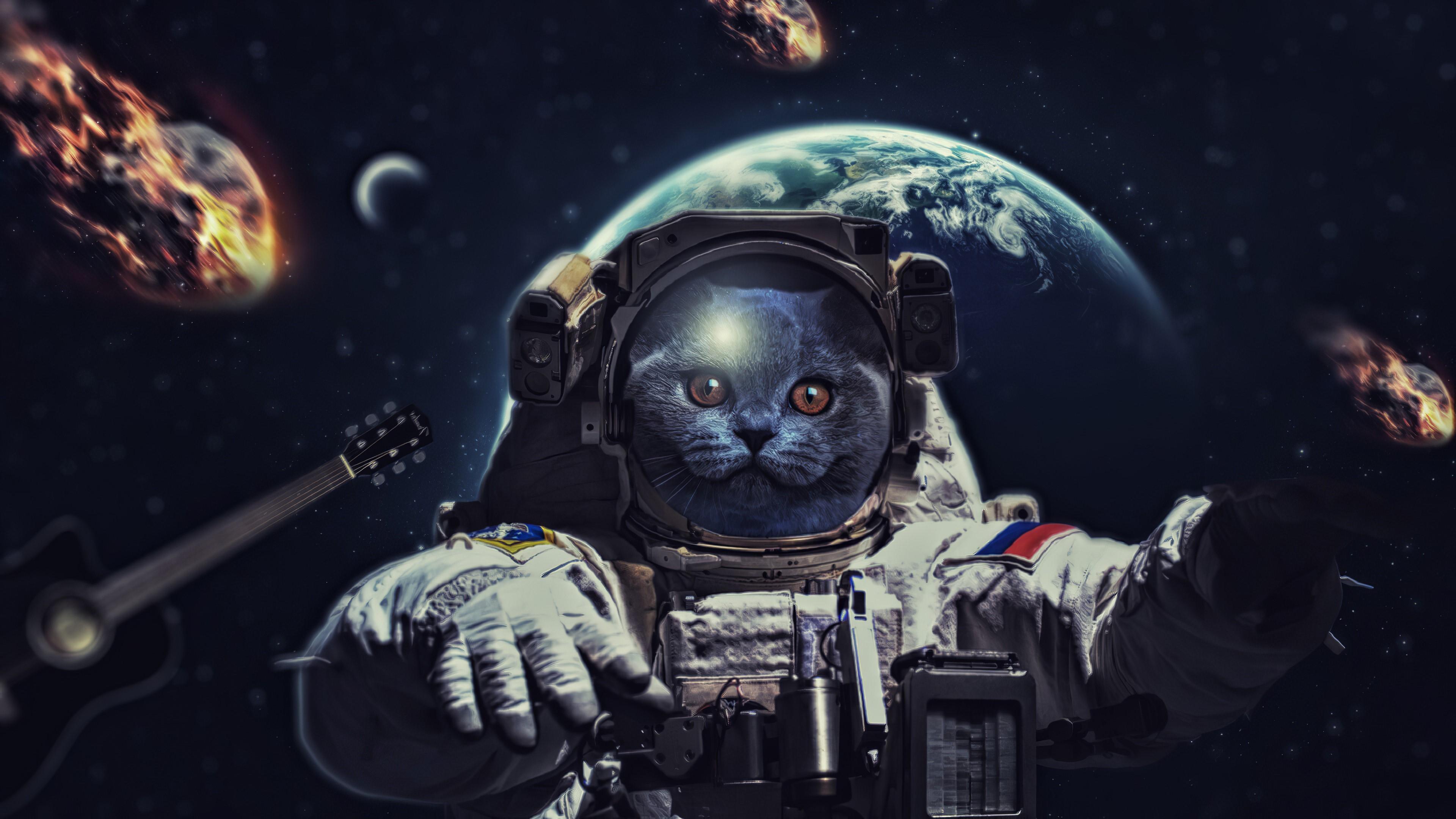 Astronaut Cat Galaxy Wallpapers   Top Free Astronaut Cat Galaxy