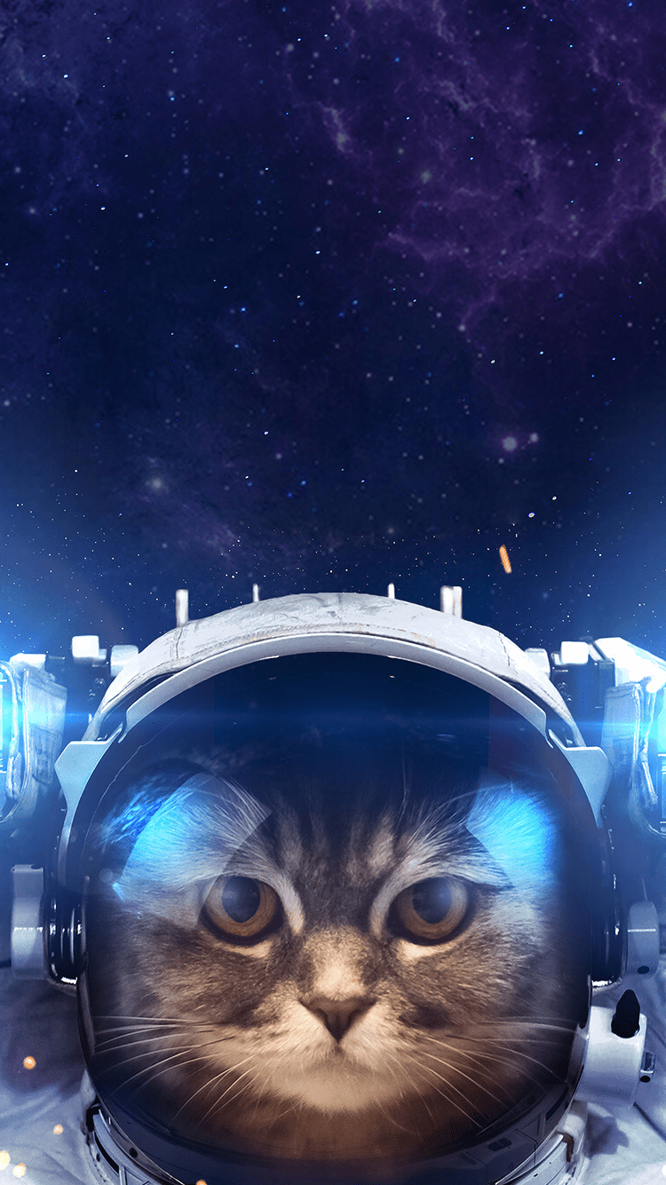 750x1334 Space Cat. Space cat, Cat portraits, Astronaut cat