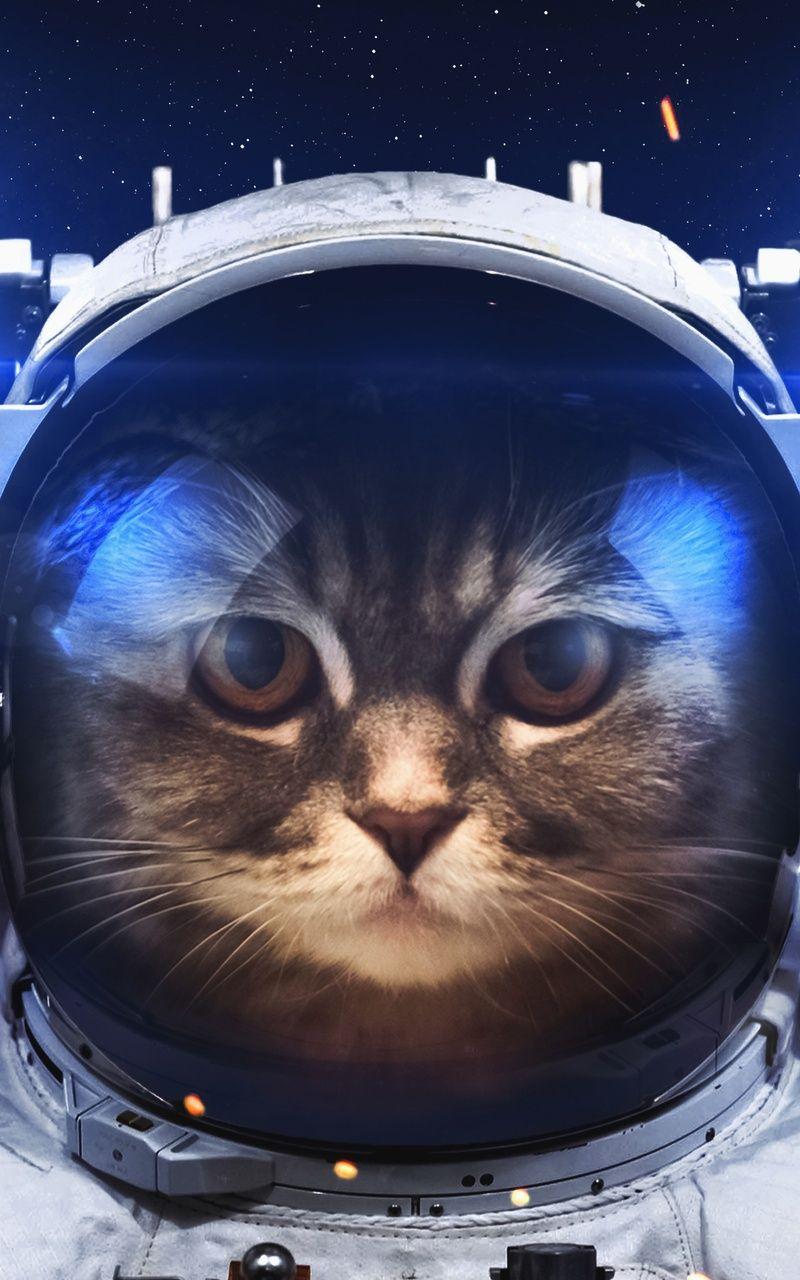 800x1280 Astronaut Cat Nexus Samsung Galaxy Tab Note Android