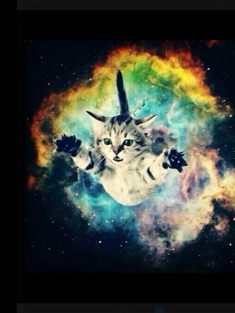 Astronaut Cat Galaxy Wallpapers - Top Free Astronaut Cat Galaxy ...