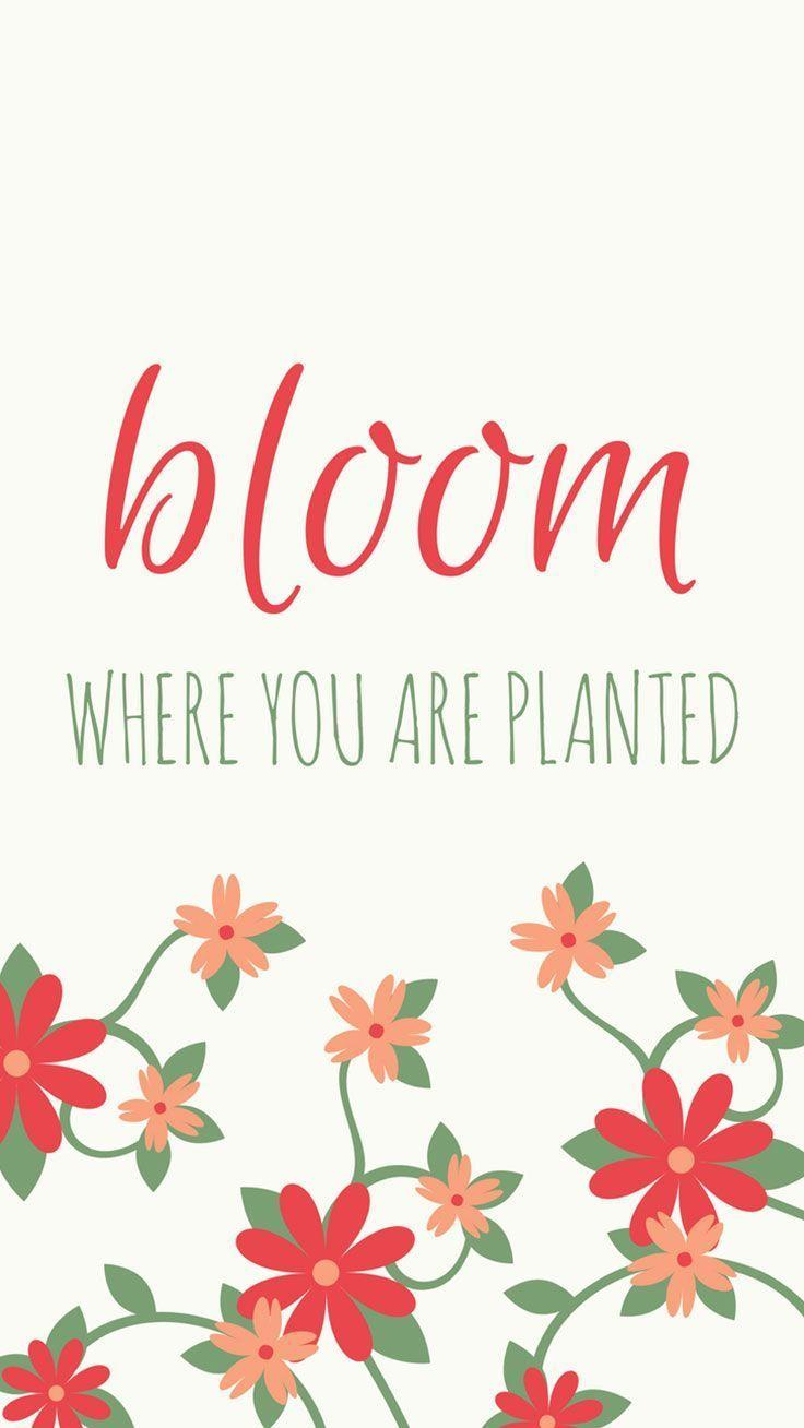 736x1308 AESTHETIC STRONG QUOTES WALLPAPERS FREE PICTURES ON GREEPX