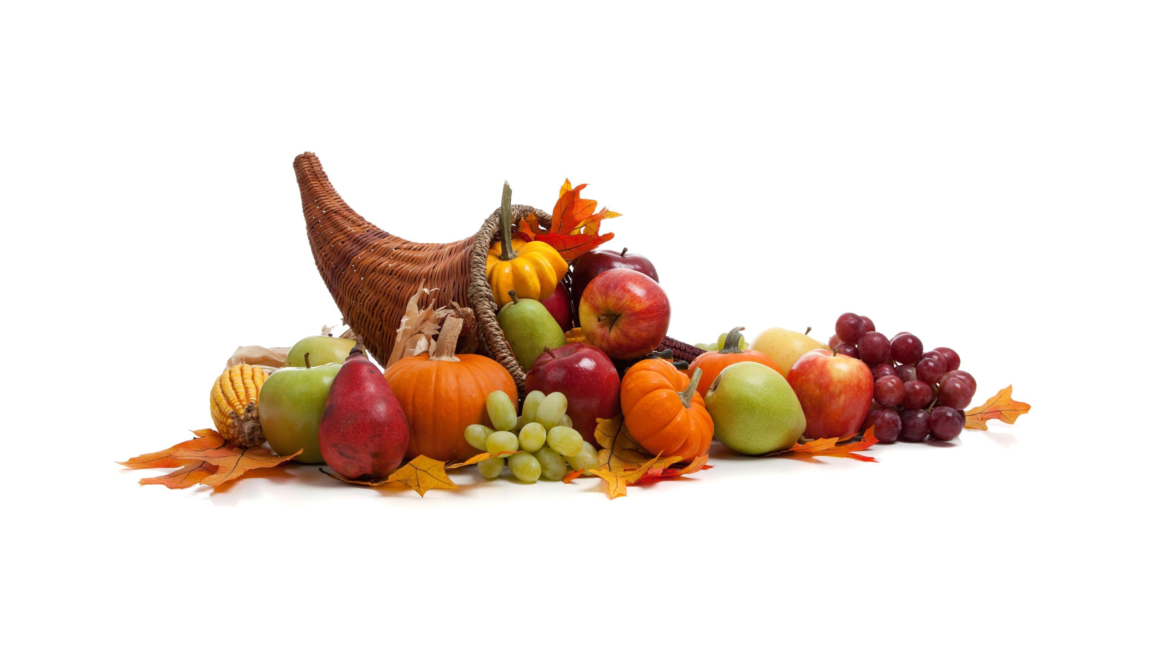 Thanksgiving Cornucopia Wallpapers - Top Free Thanksgiving Cornucopia