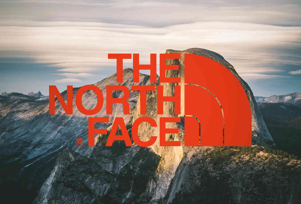 Download North Face  Gucci Designer Logo Collaboration Wallpaper   Wallpaperscom