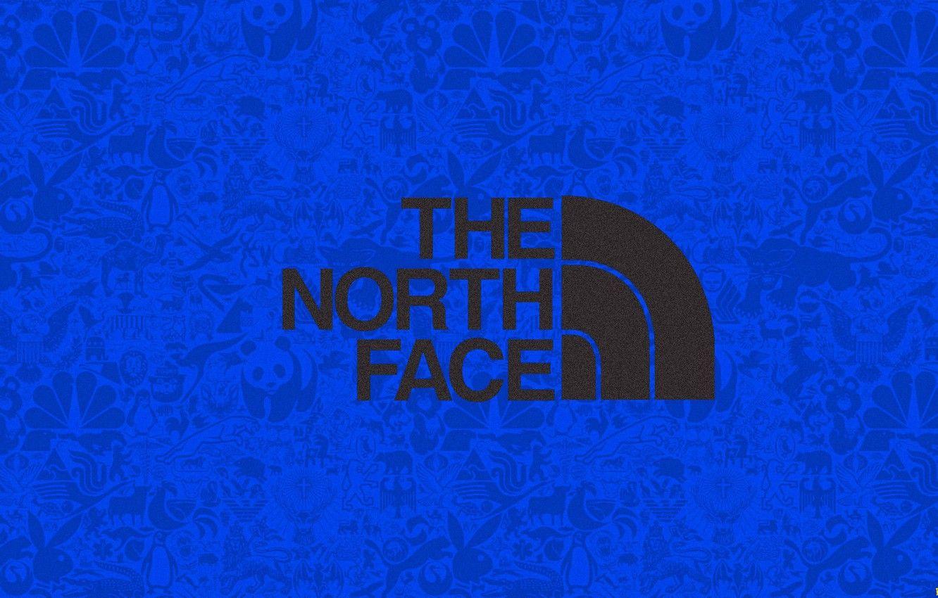 The North Face Logo Wallpapers Top Free The North Face Logo