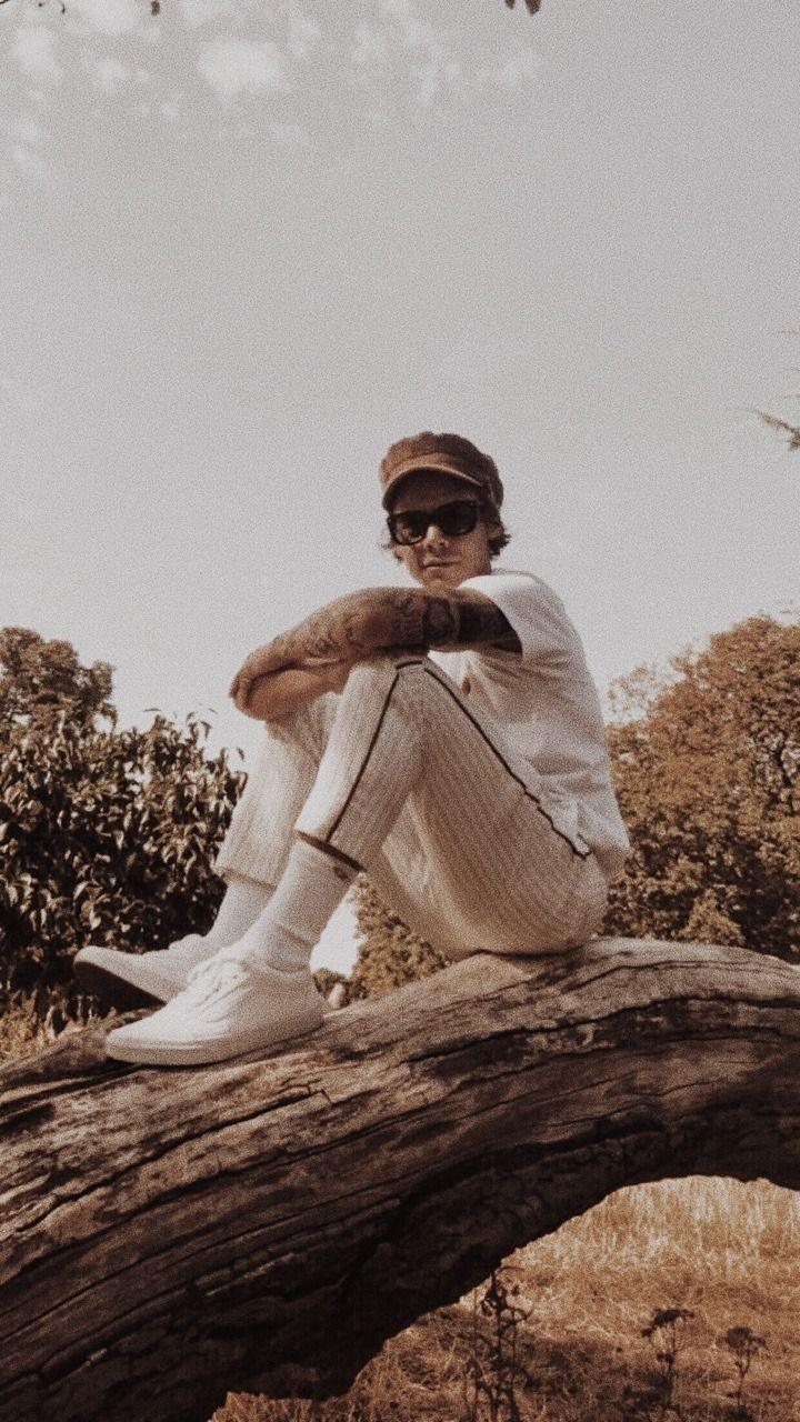 41+ Aesthetic Harry Styles Desktop Wallpaper Tumblr Images