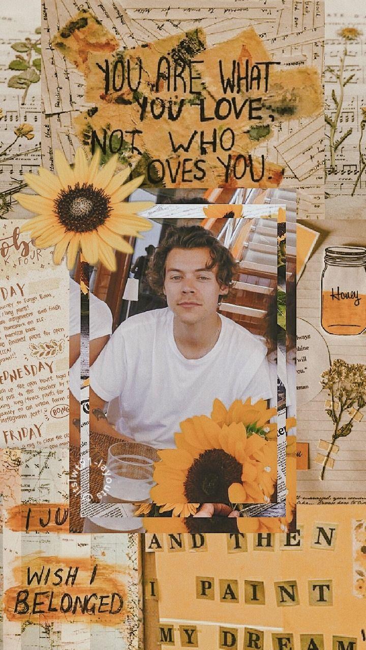 Harry Styles Aesthetic Wallpapers  Top Free Harry Styles Aesthetic  Backgrounds  WallpaperAccess