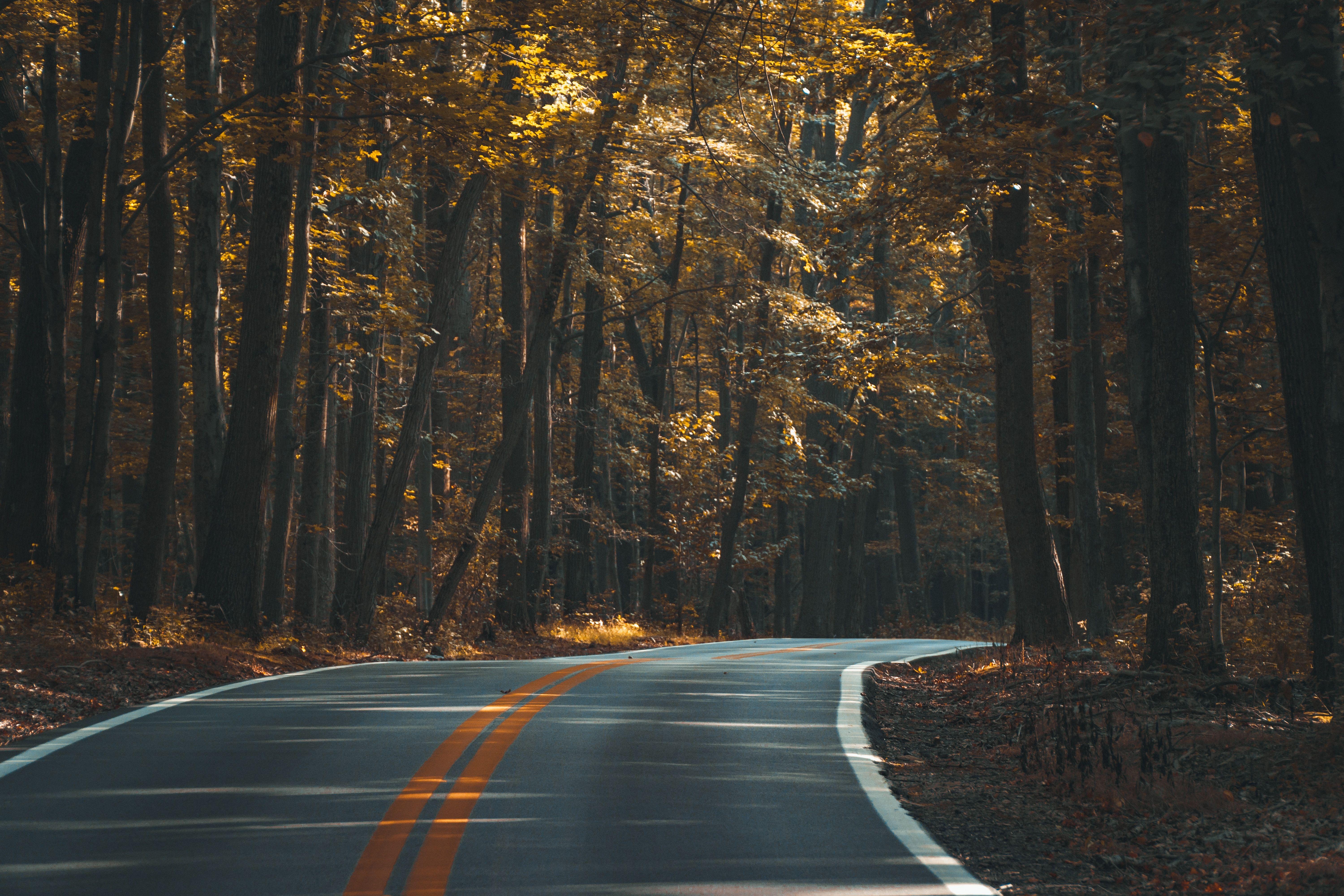 6000x4000 6000x4000 #open road, #asphalt, #roadtrip, #curvelines